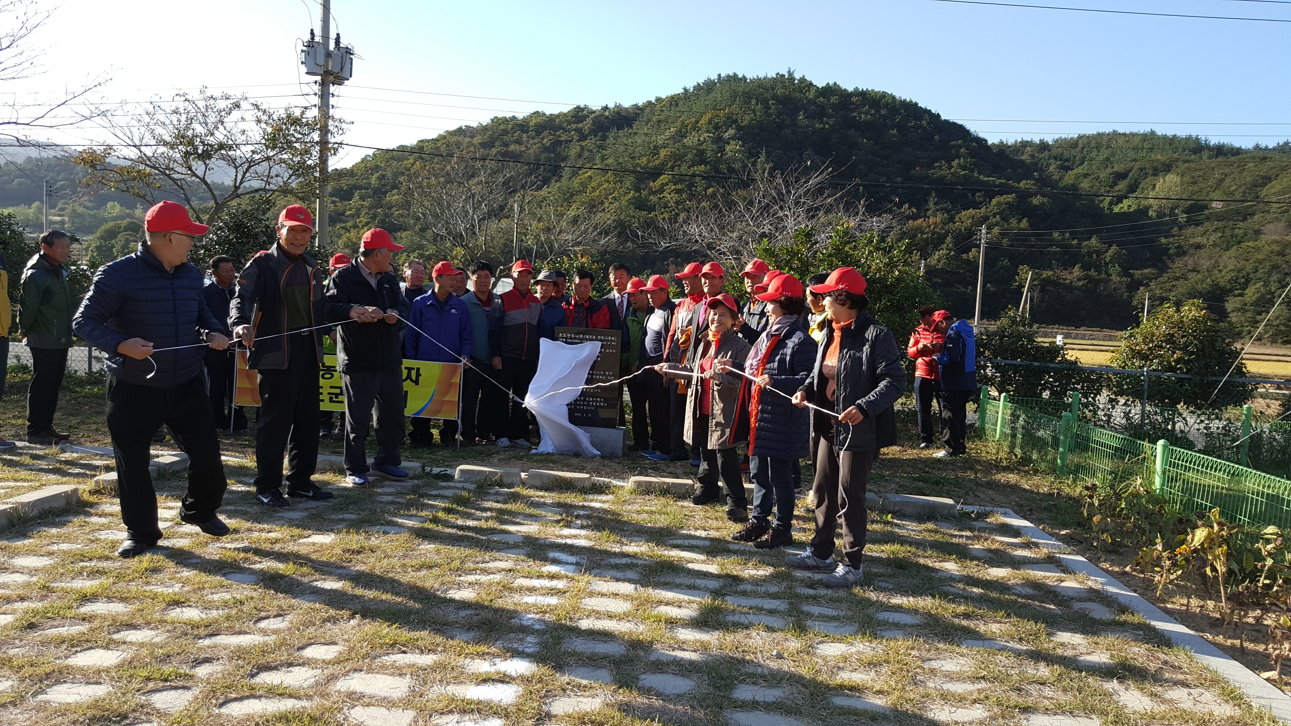 한국농촌지도자 진도군연합회를 칭찬합니다. 첨부#3