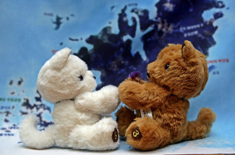 진도개 강아지 캐릭터 인형 첨부#1