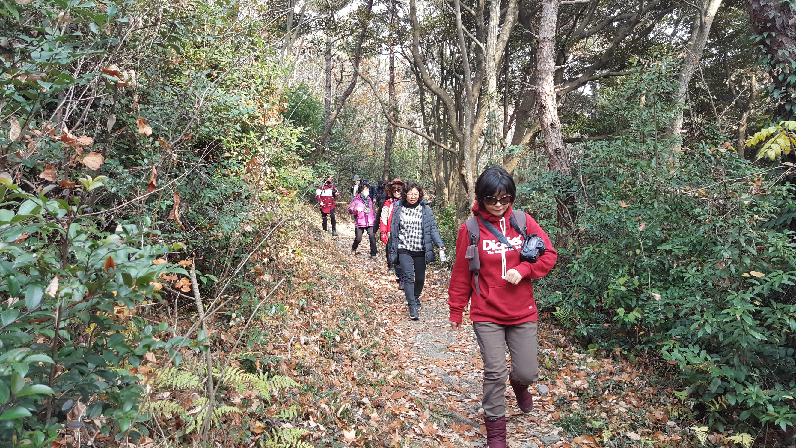 진도여행 -남도한바퀴 진도 접도 특별코스(파워블로거 글)감사합니다. 첨부#2