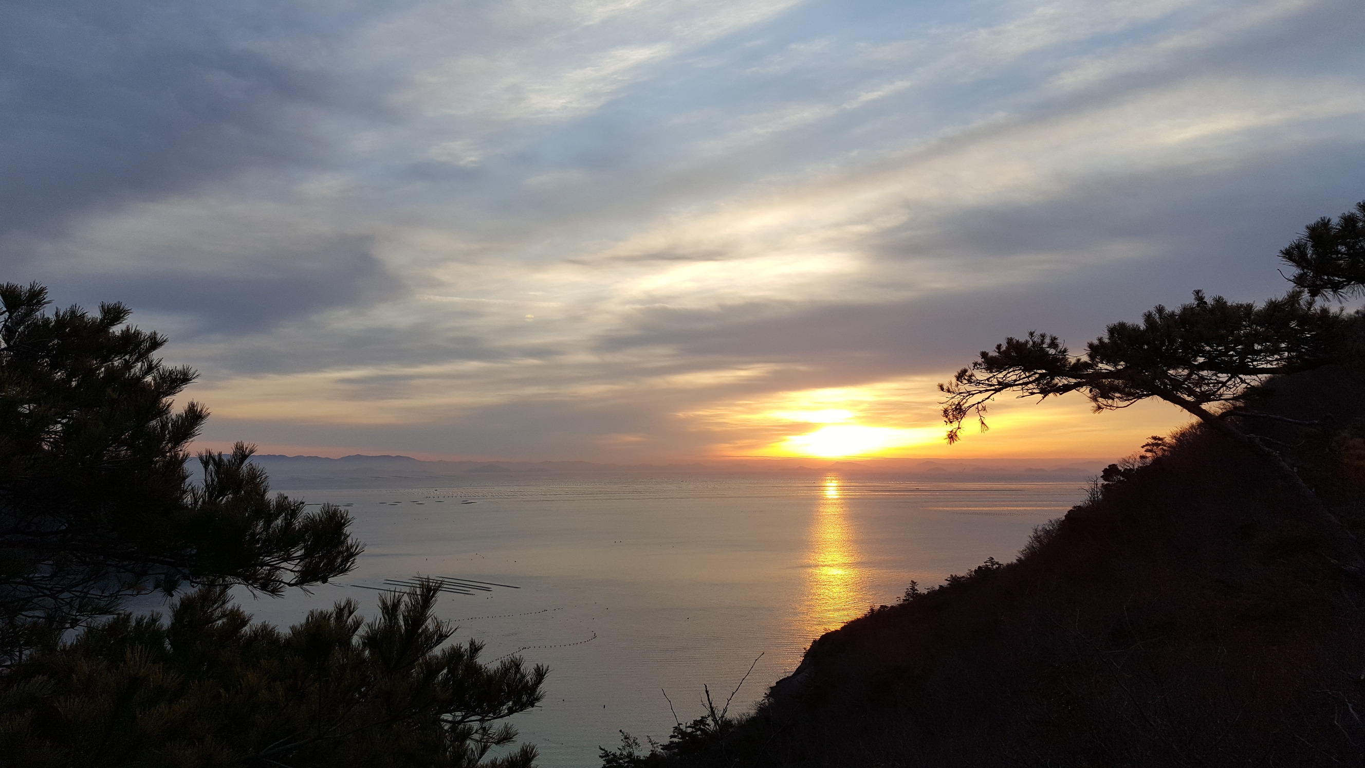 진도가볼만곳-진도접도 남망산 웰빙등산로 가는길(감사합니다,마리안선생님) 첨부#5