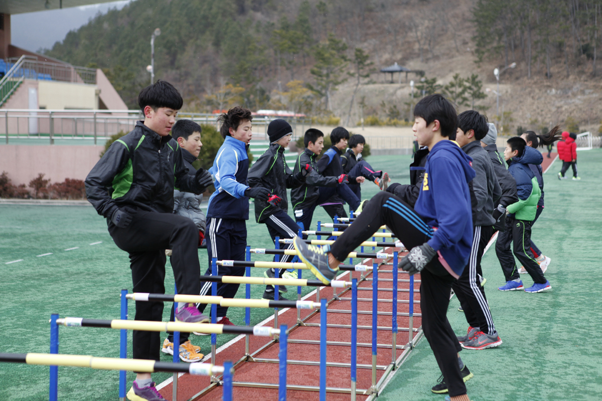 진도군, 동계전지훈련으로 인기…지역경제 활성화 기대 이미지