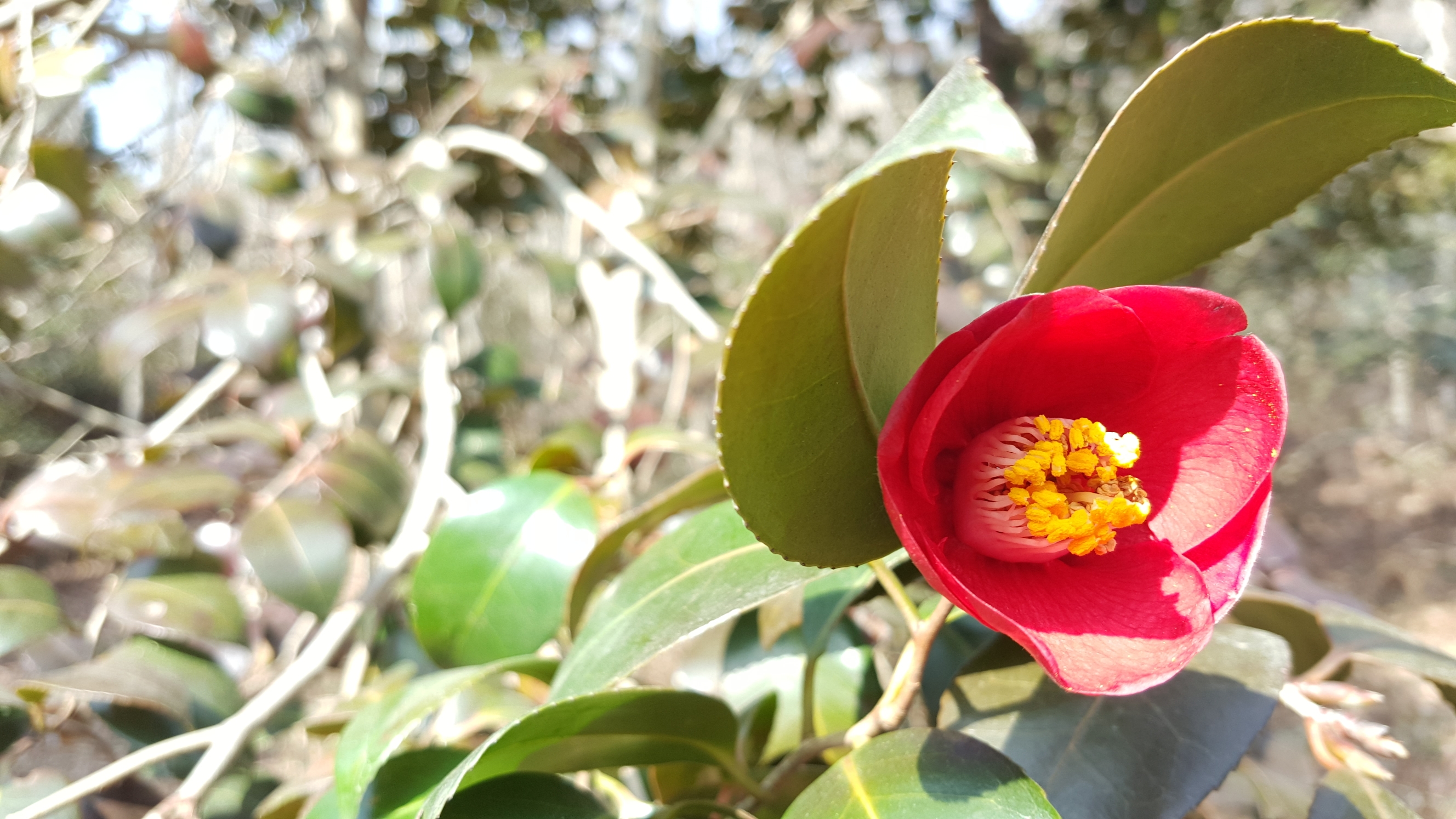 접도웰빙길 시산제 산악회버스12대 감사합니다(2018년2월25일) 첨부#1