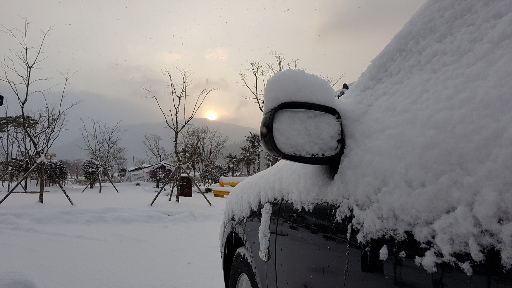 다시찾은 진도 : 삼별초공원 김병철님을 칭찬합니다 첨부#1