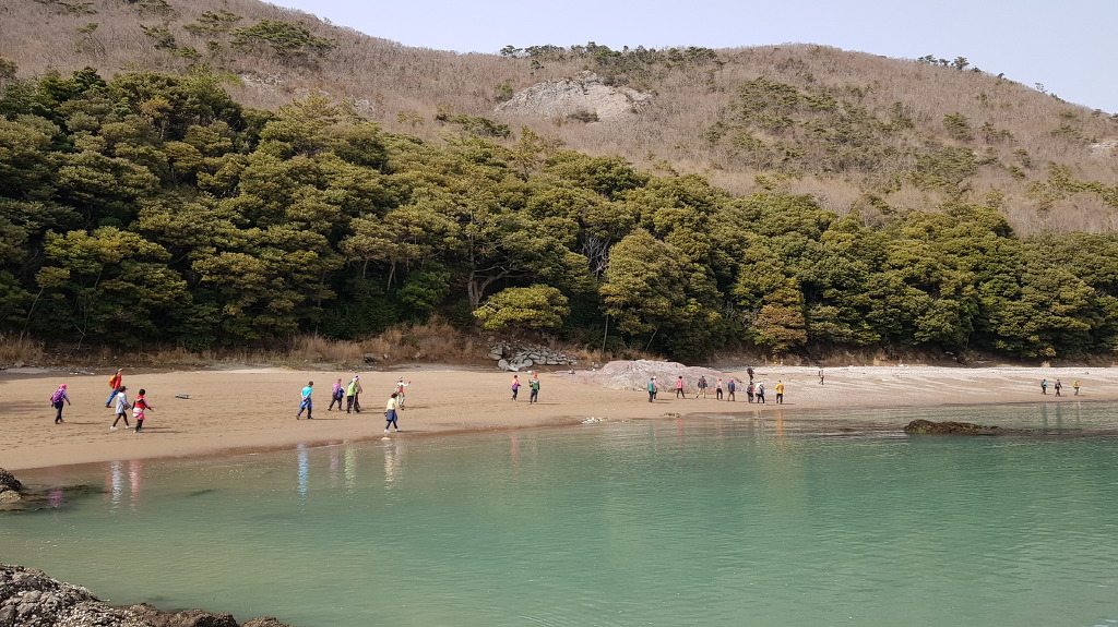접도웰빙길 해안코스 정화작업 주기적으로 부탁드립니다. 첨부#1