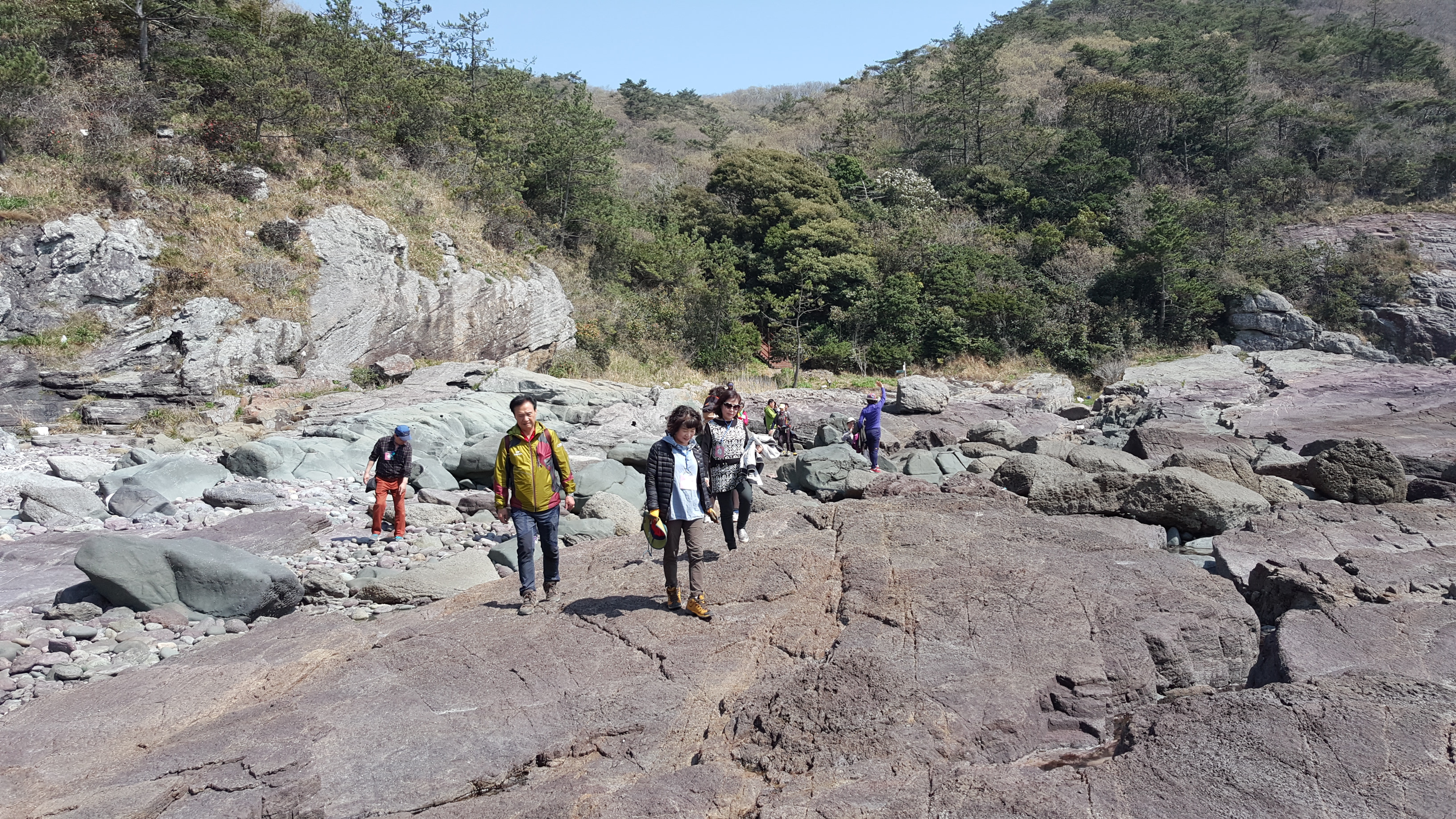 접도웰빙길 해안코스 정화작업 주기적으로 부탁드립니다. 첨부#2