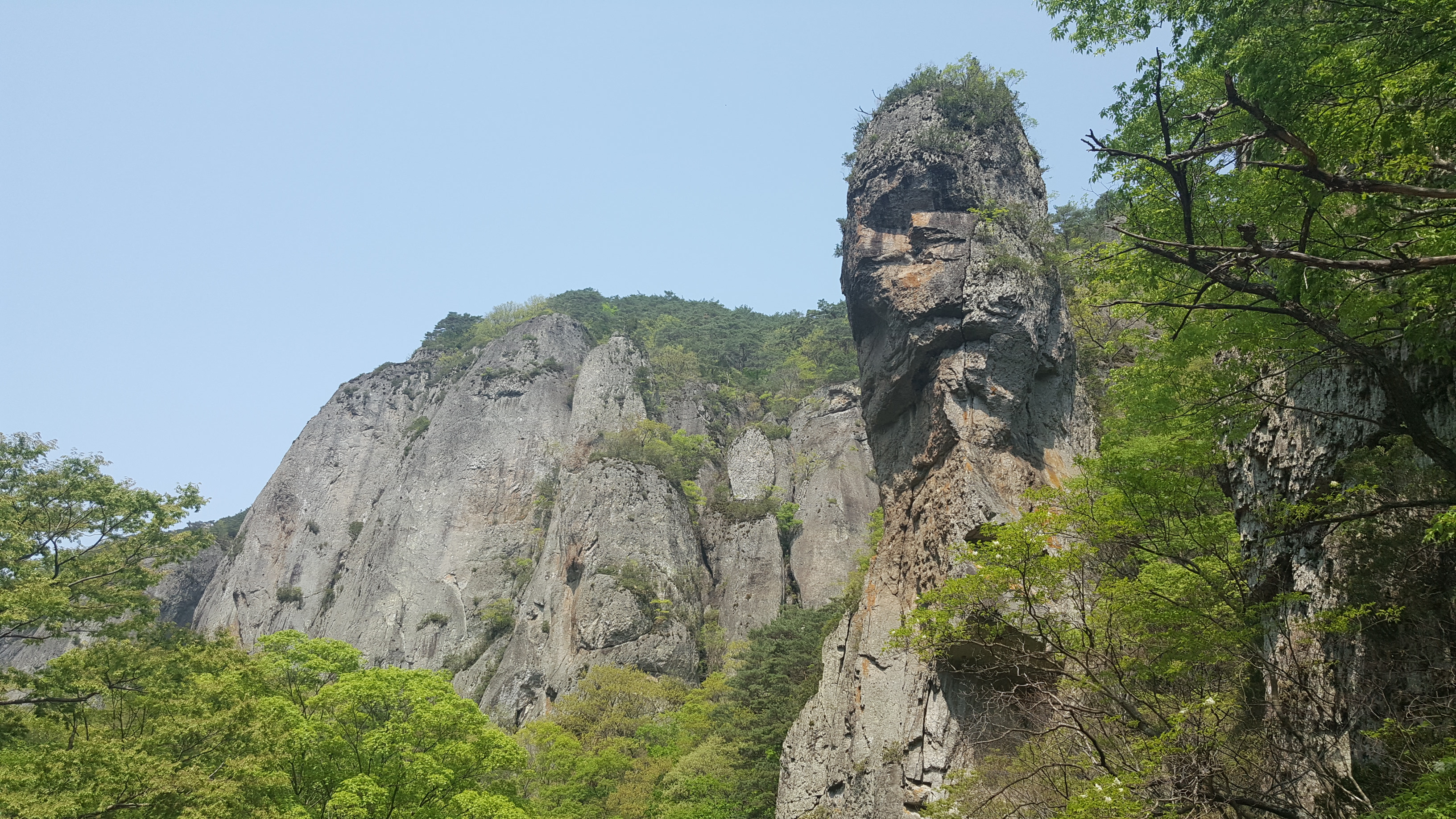 고맙고 감사드립니다(진도군산림조합) 첨부#4
