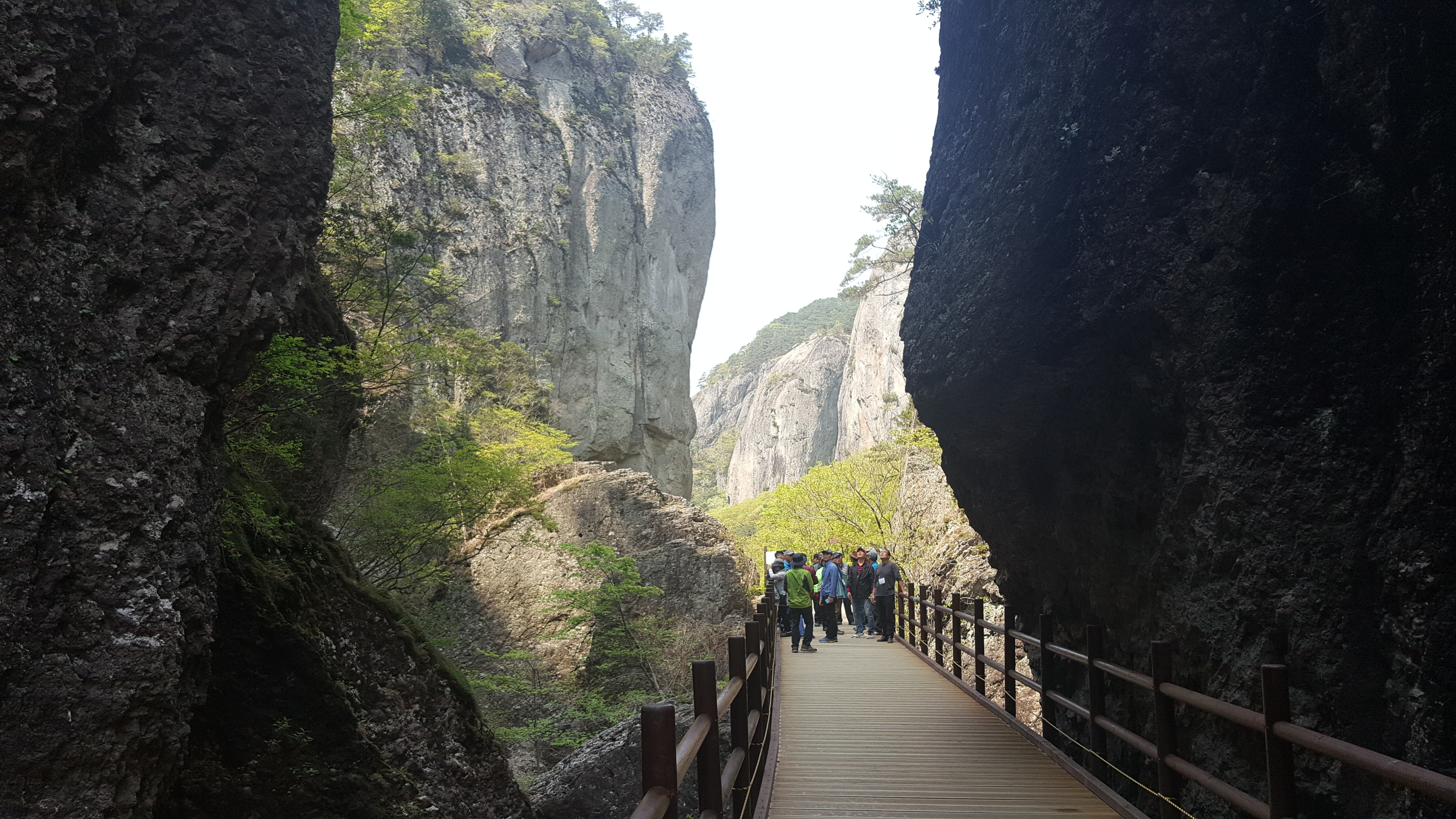 고맙고 감사드립니다(진도군산림조합) 첨부#5