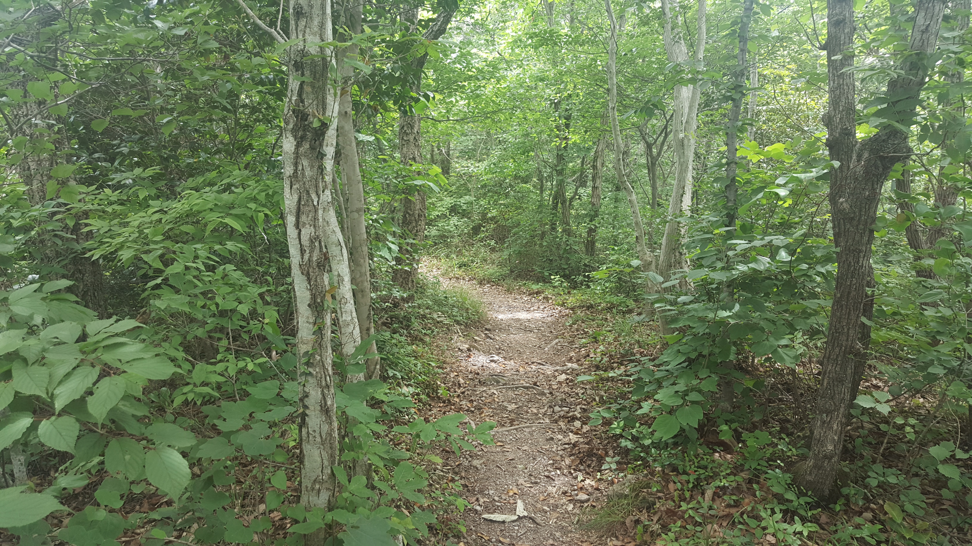 진도 접도웰빙길은 후손에게 물려줄 자산입니다. 첨부#2