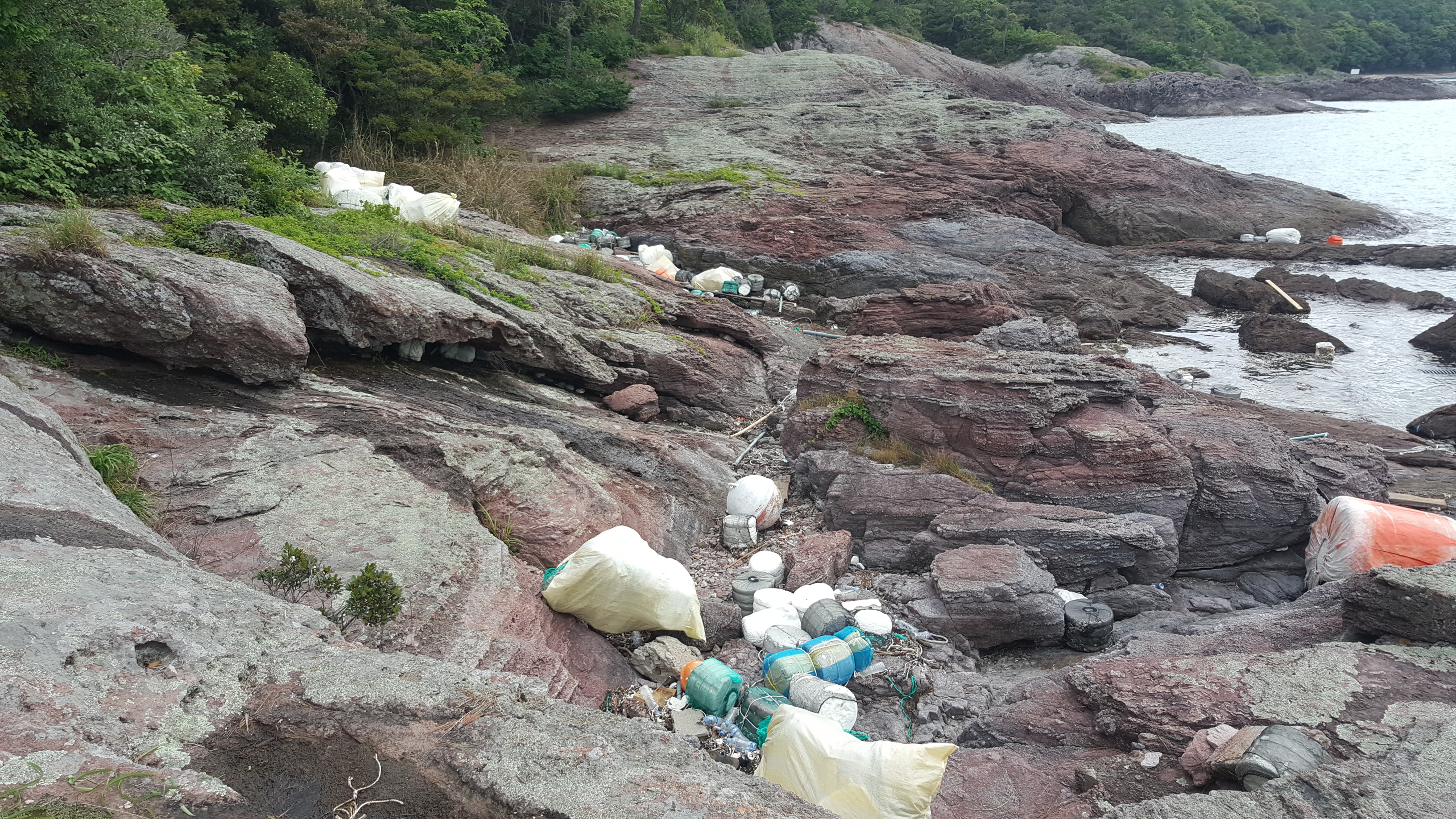 6월1일 수고하셨습니다. 첨부#2