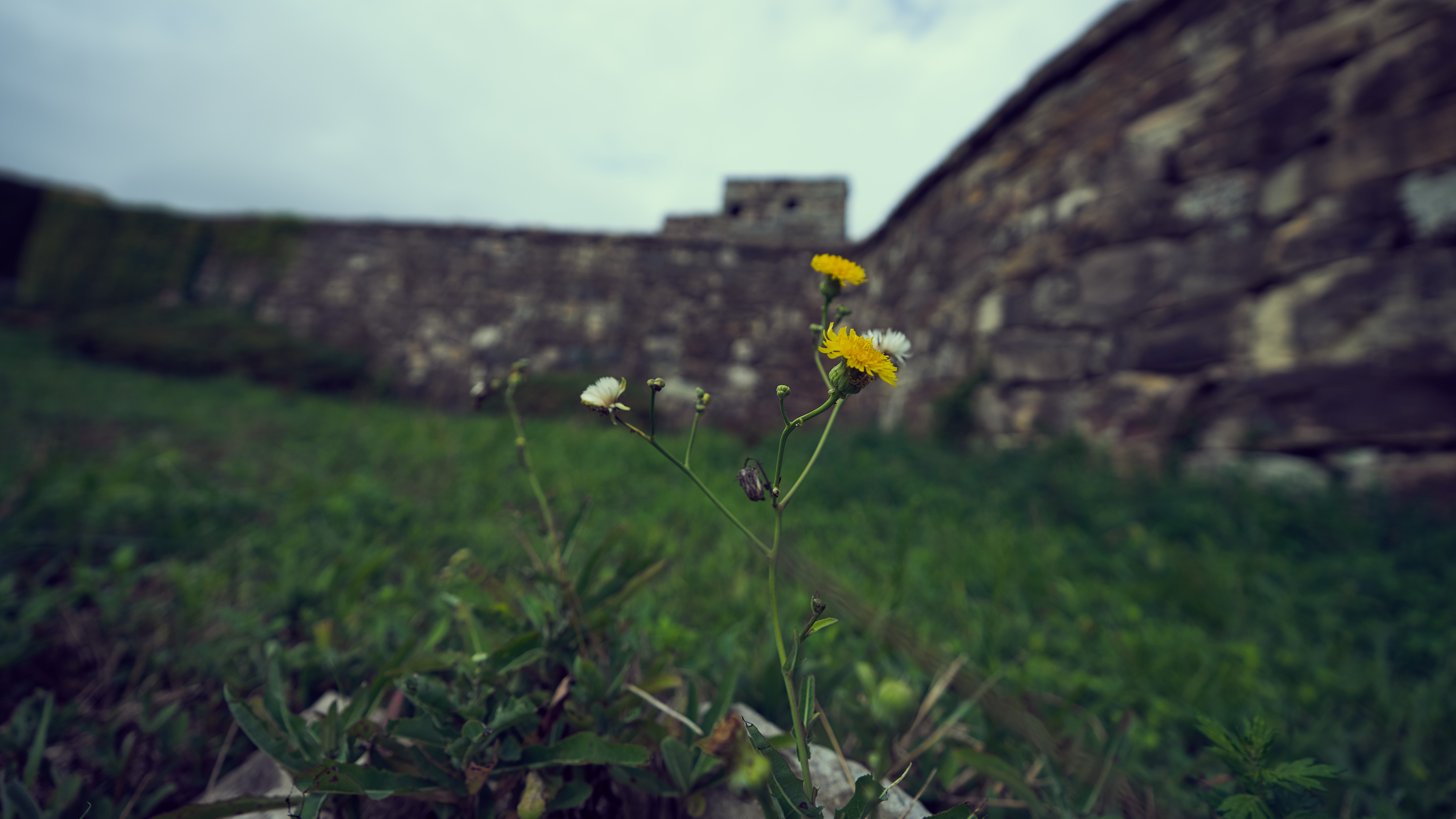 진도 여행 첨부#4