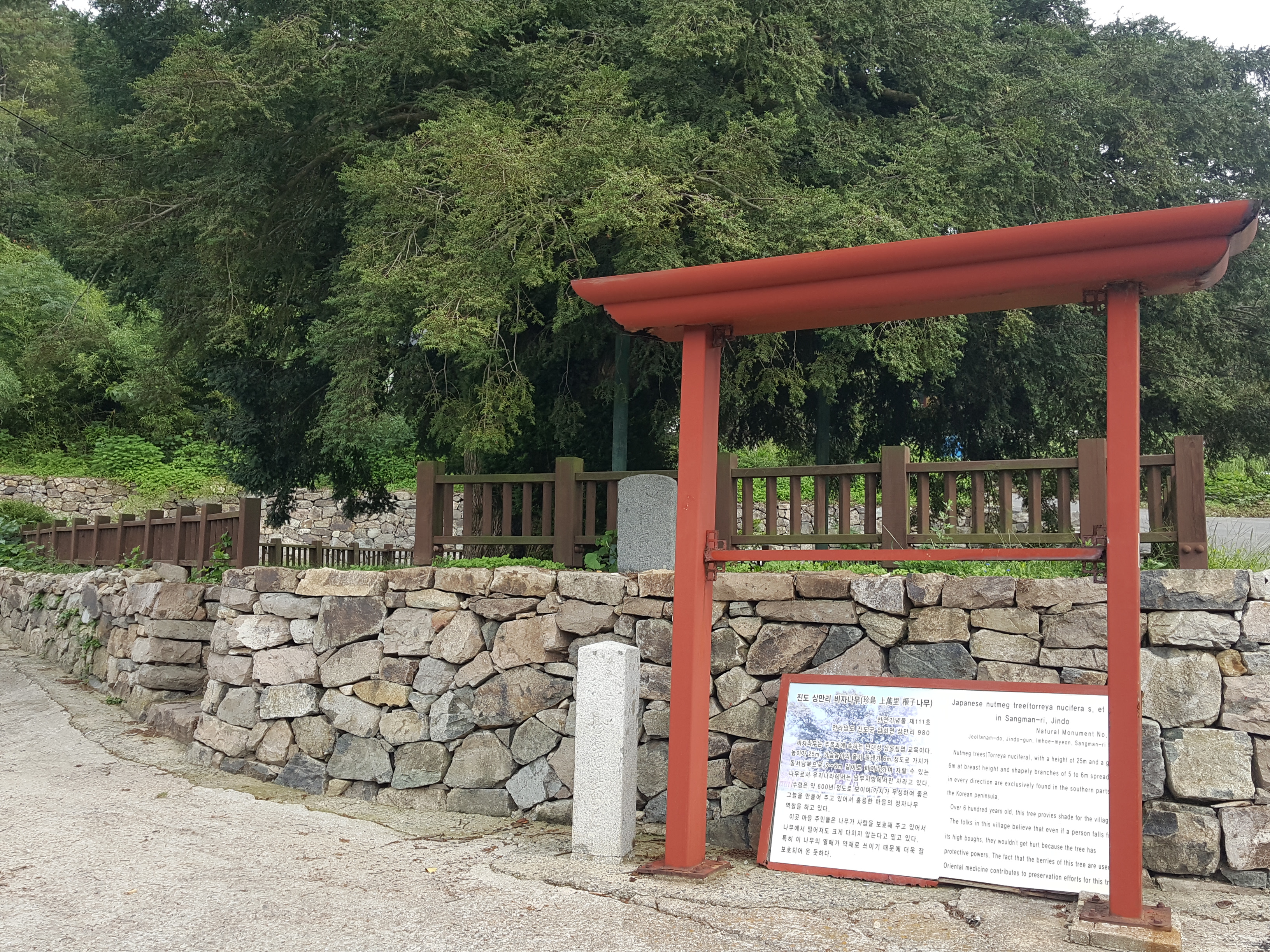 천연기념물 안내문구 탈락방치 첨부#1