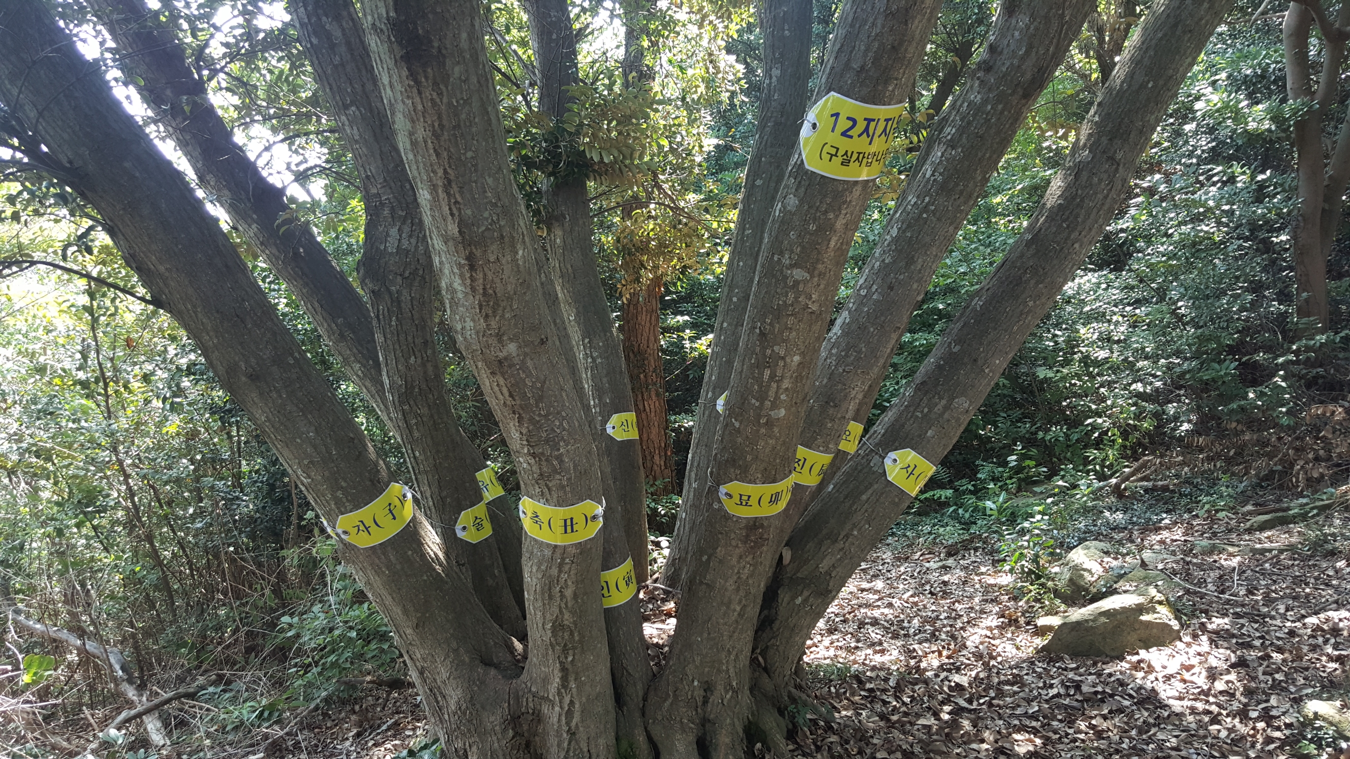 아름다운 숲 전국대회 공존상 수상을 감사드립니다. 첨부#1