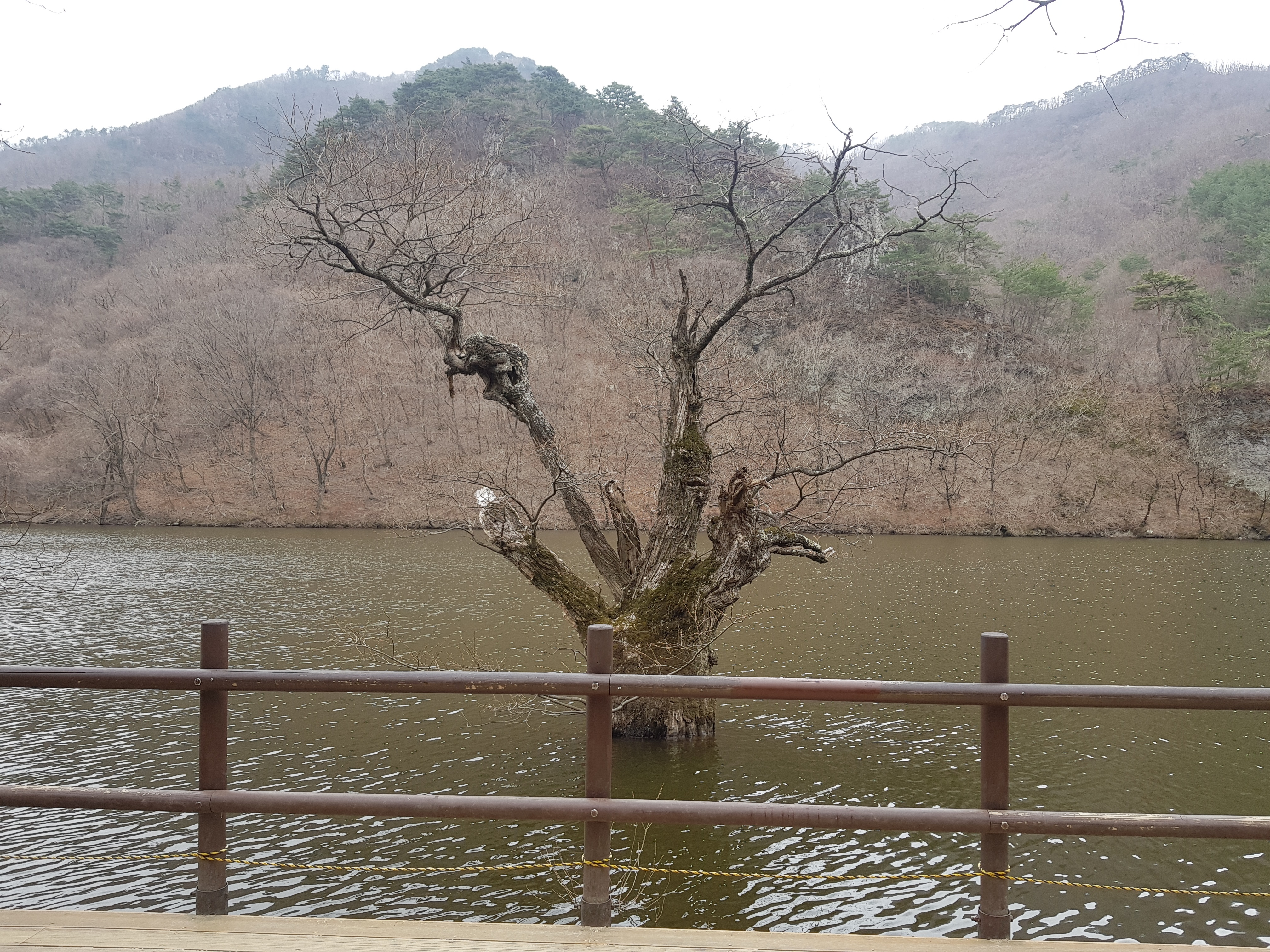 진도군산림조합 임직원들을 칭찬합니다. 첨부#4