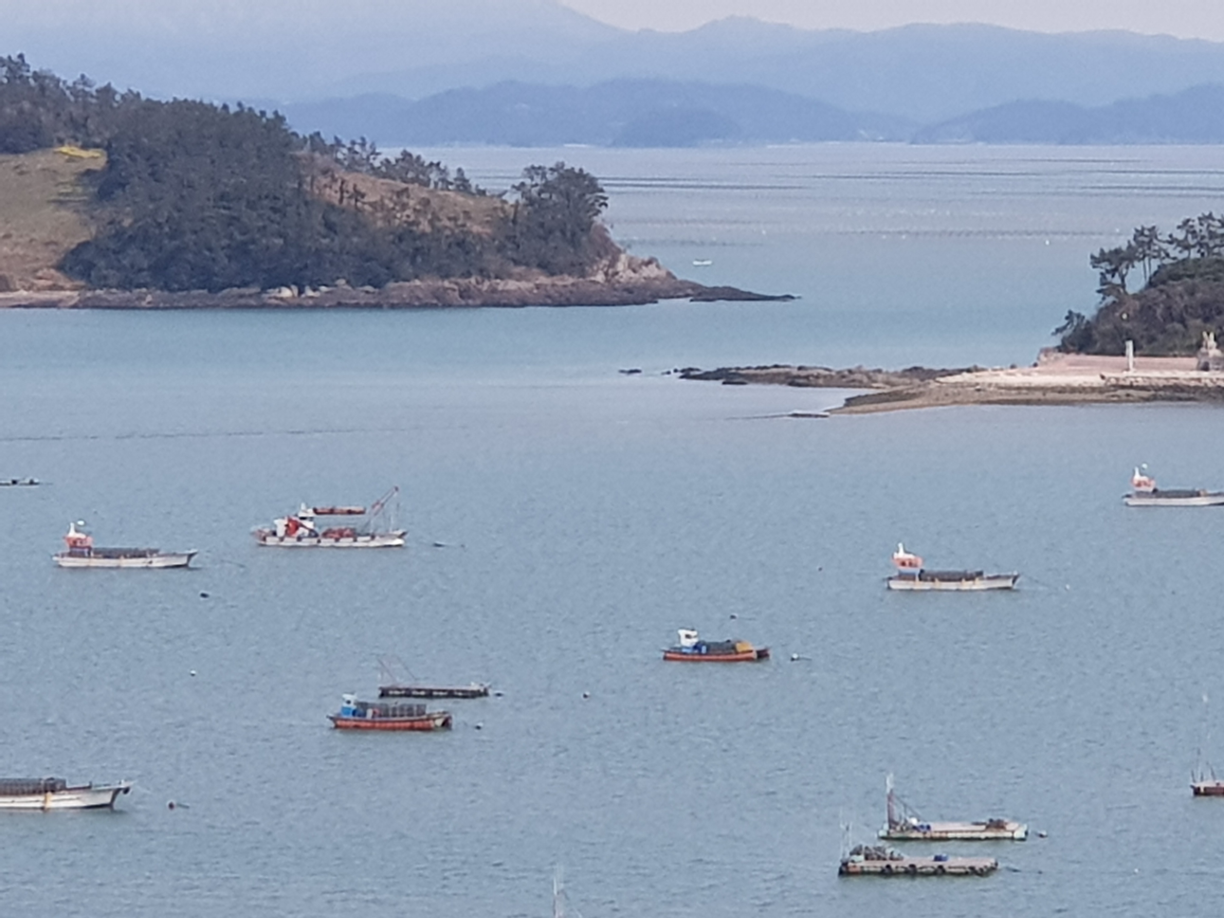 축제 관계자여러분 수고에 감사드립니다. 첨부#1