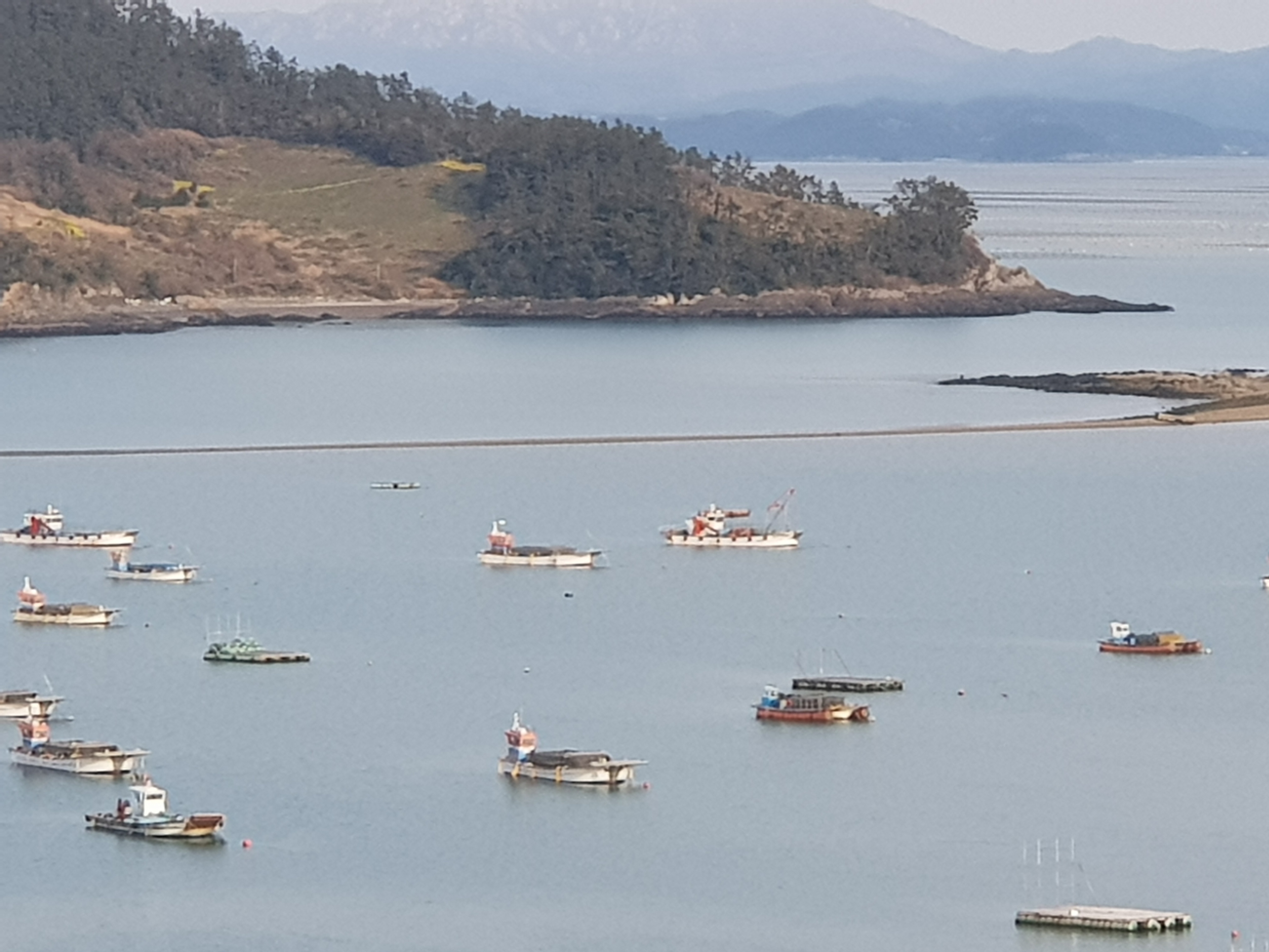 축제 관계자여러분 수고에 감사드립니다. 첨부#2