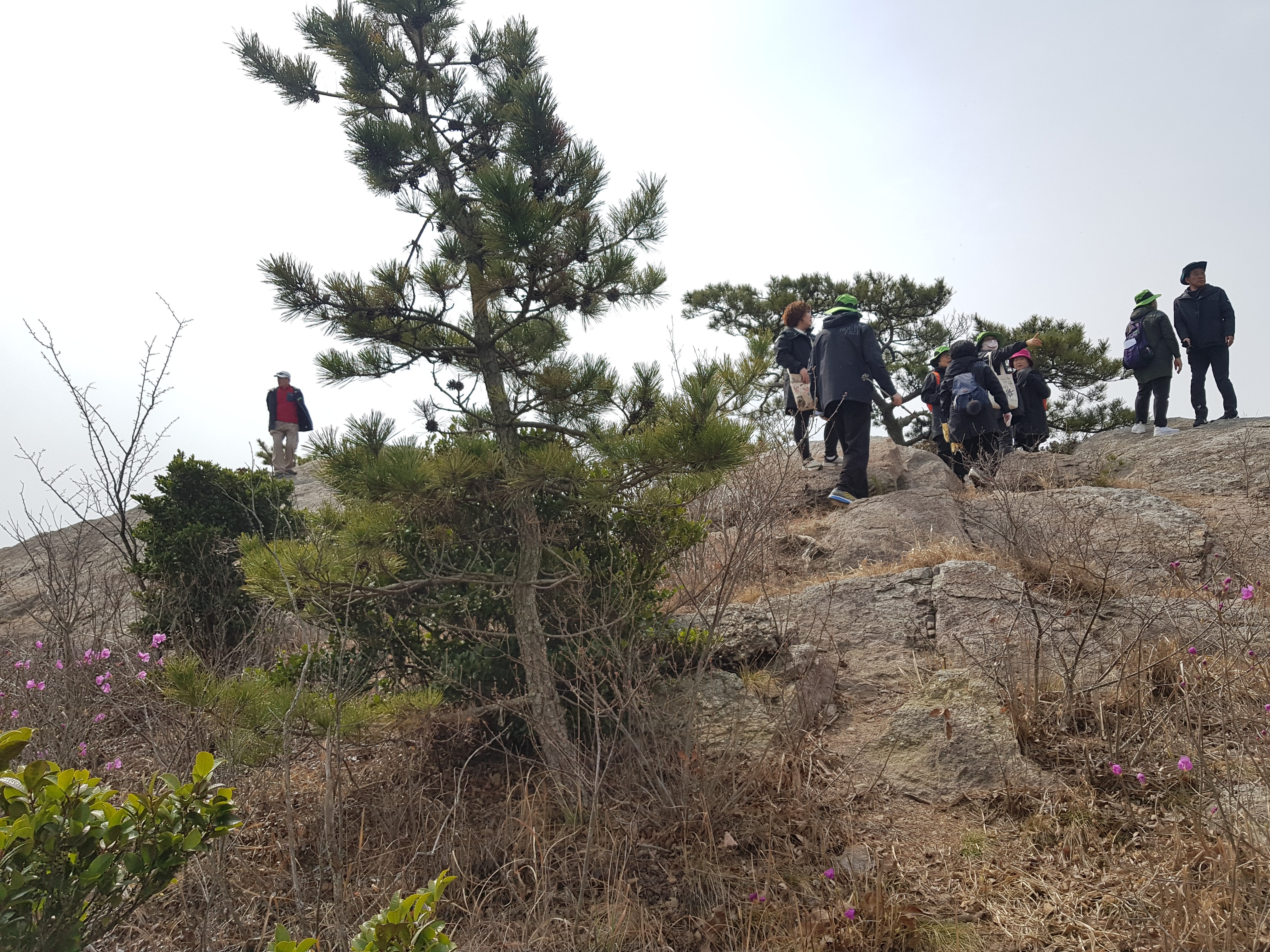 진도군 문화관광해설사 3월 현장 직무연수 감사합니다(진서심해설사님 글) 첨부#2