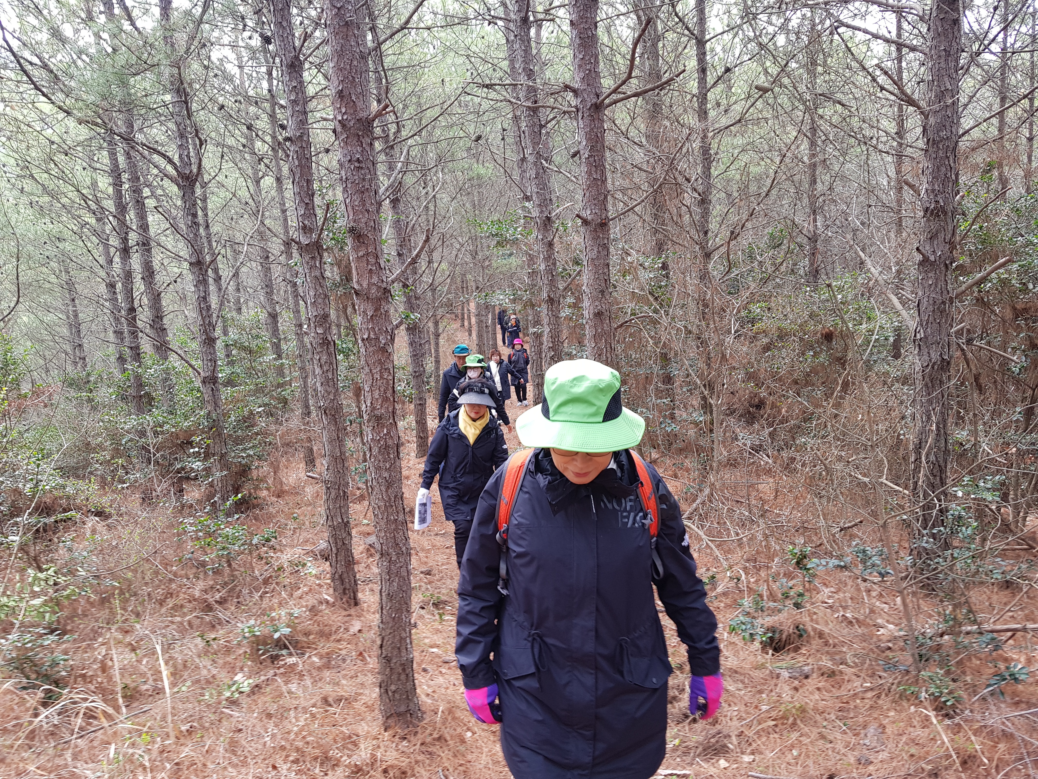진도군 문화관광해설사 3월 현장 직무연수 감사합니다(박길림해설사님 글) 첨부#2
