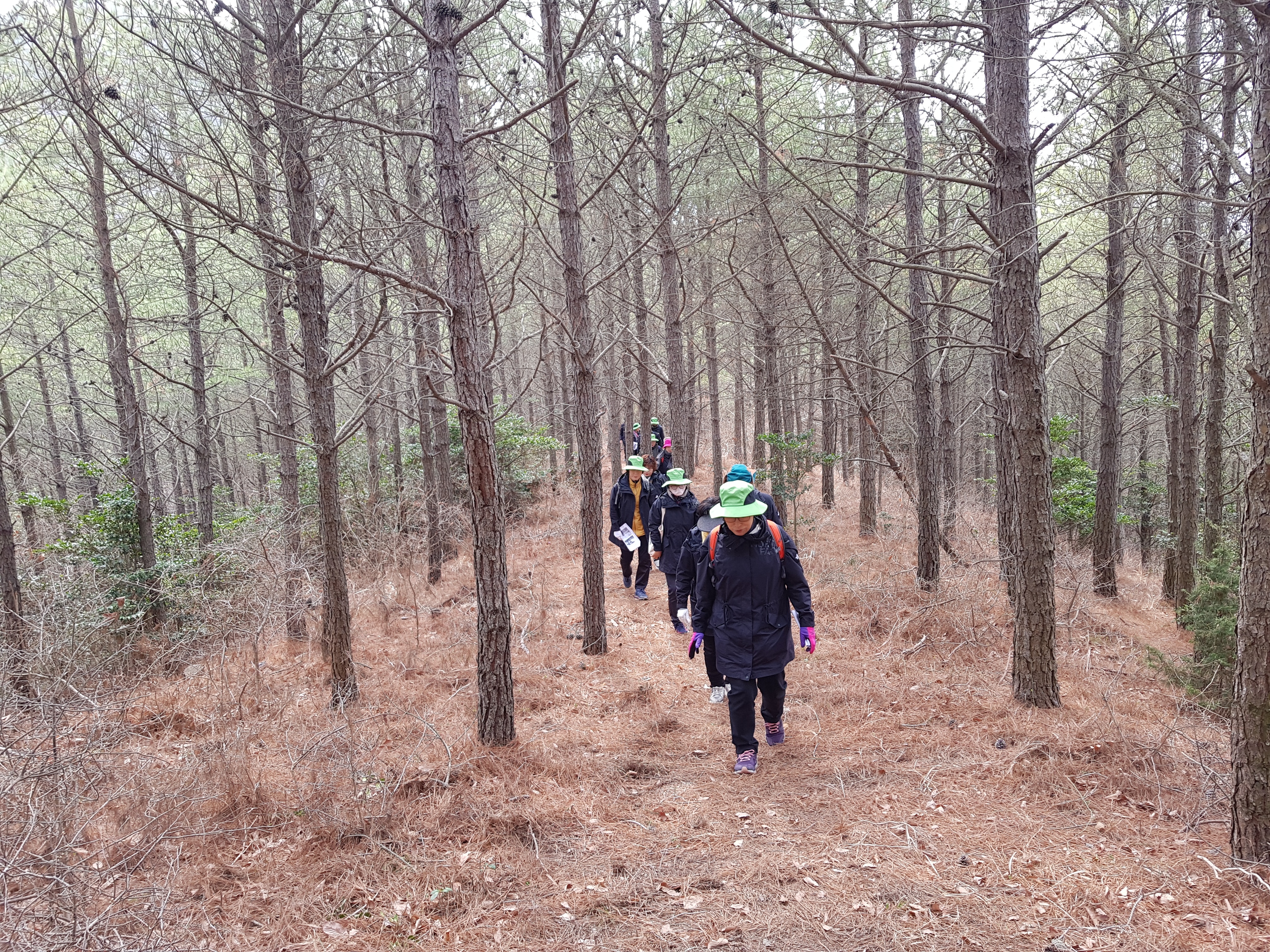 진도군 문화관광해설사 3월 현장 직무연수 감사합니다(한정숙해설사님 글) 첨부#2