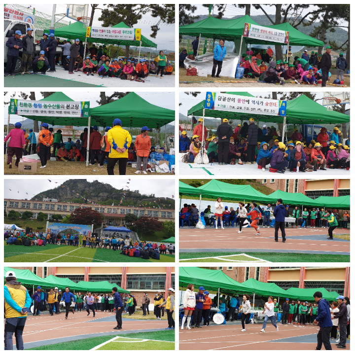 제44회 군내면민 한마당잔치 즐거웠어요 첨부#3