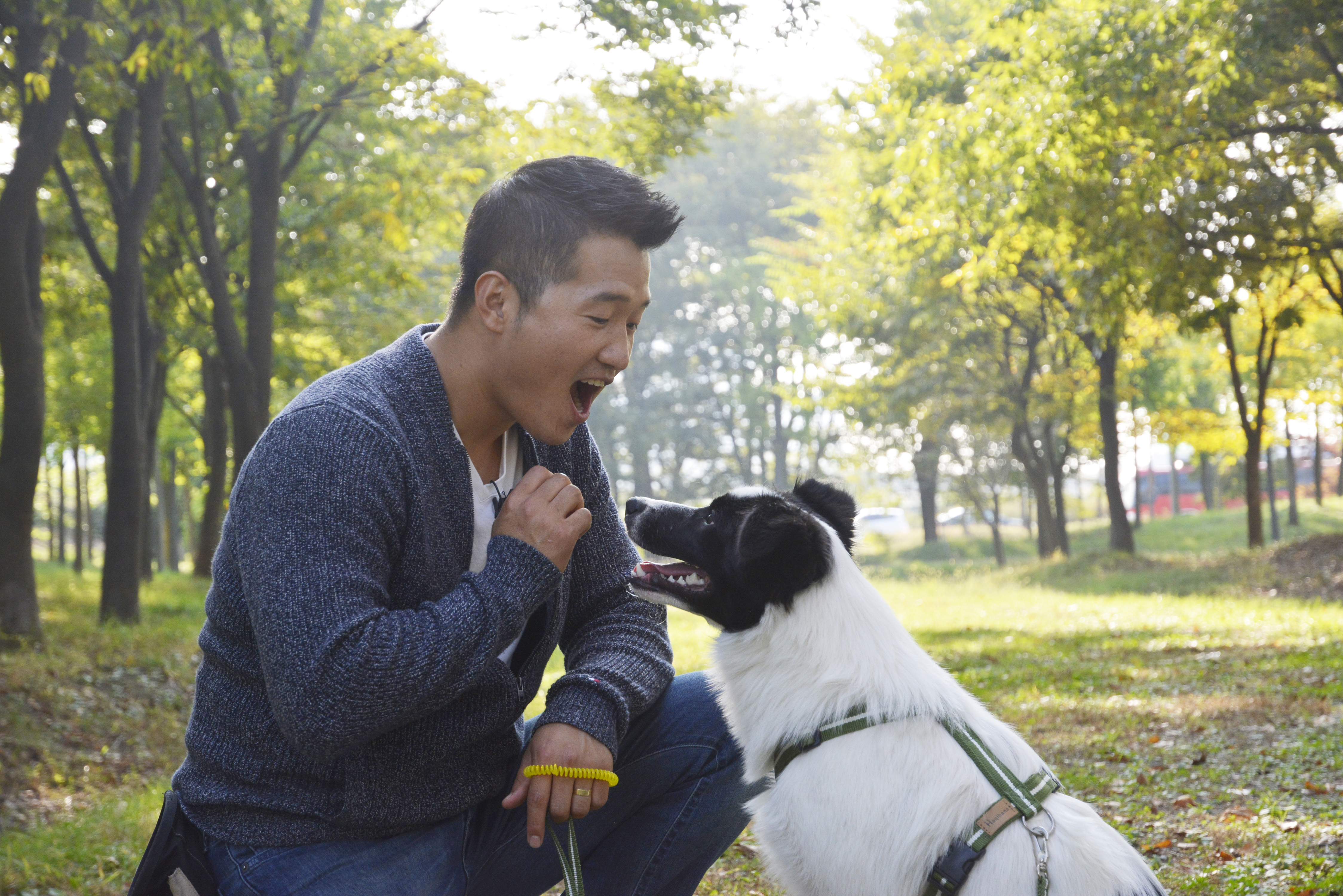 진도군, 23일(목) 반려동물전문가 강형욱 초청 청년아카데미 개최 이미지