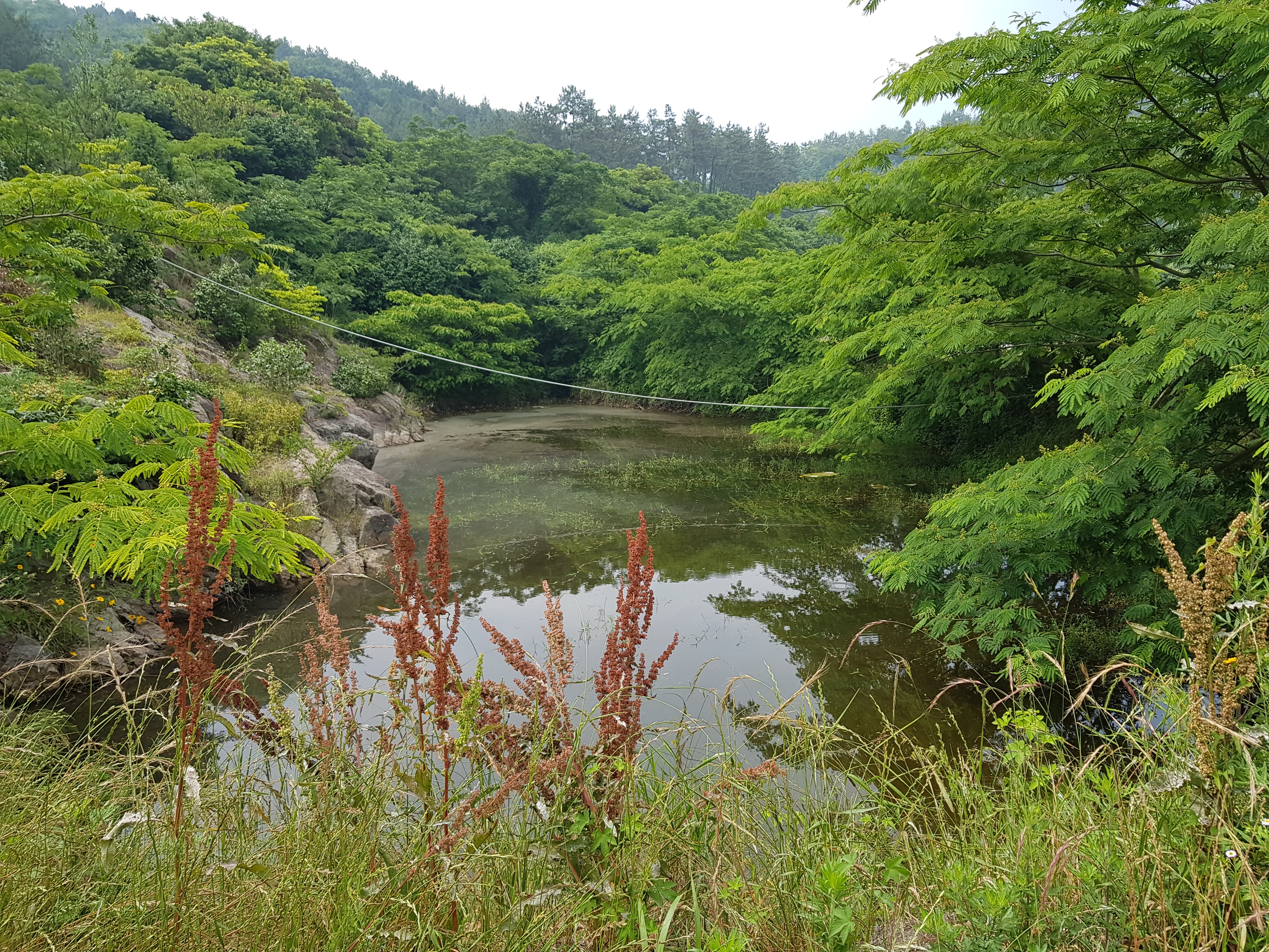 진서심 해설사선생님을 칭찬합니다. 첨부#2