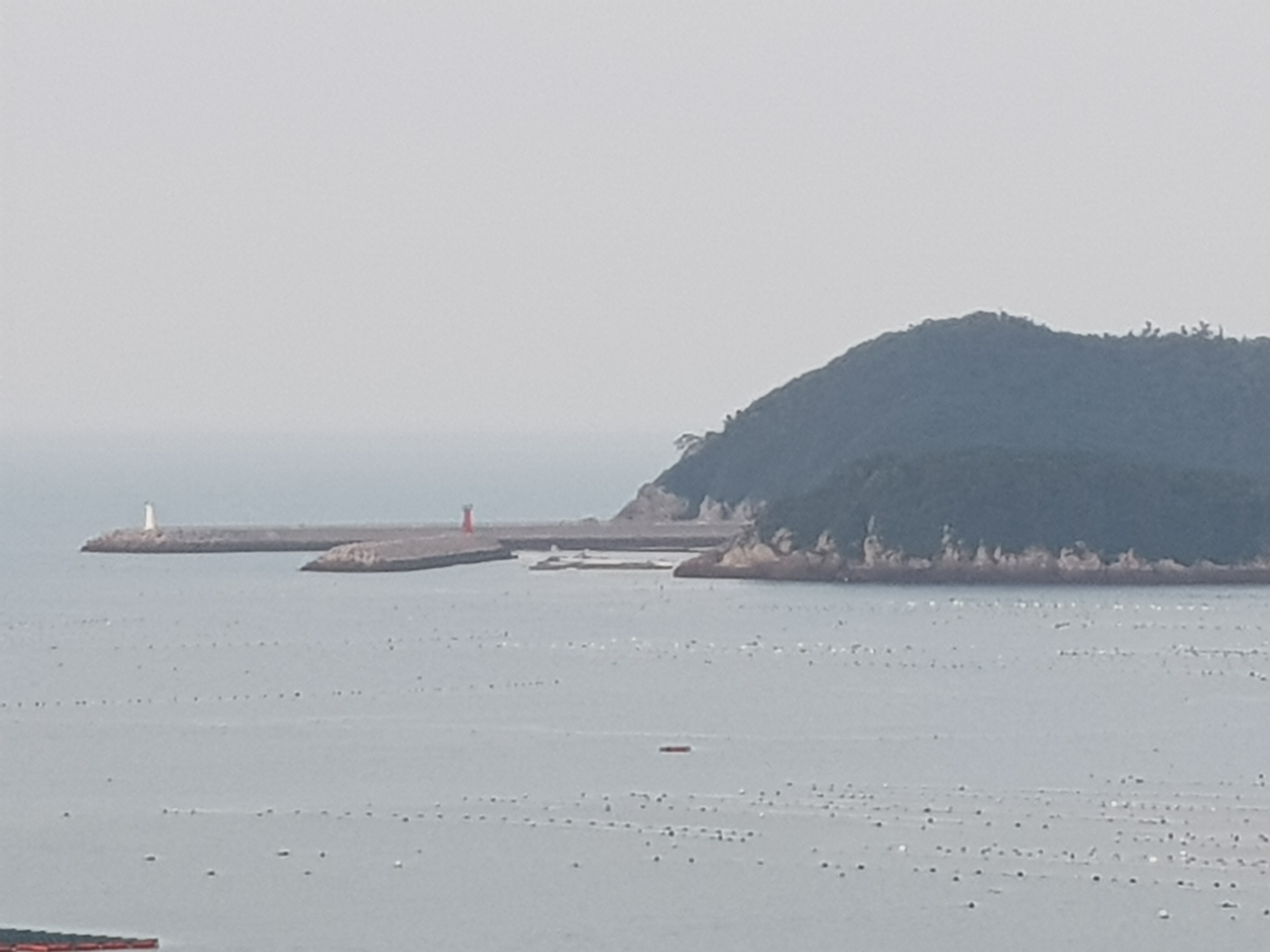 쏠비치 진도 입구 안내판 살펴 주세요. 첨부#2