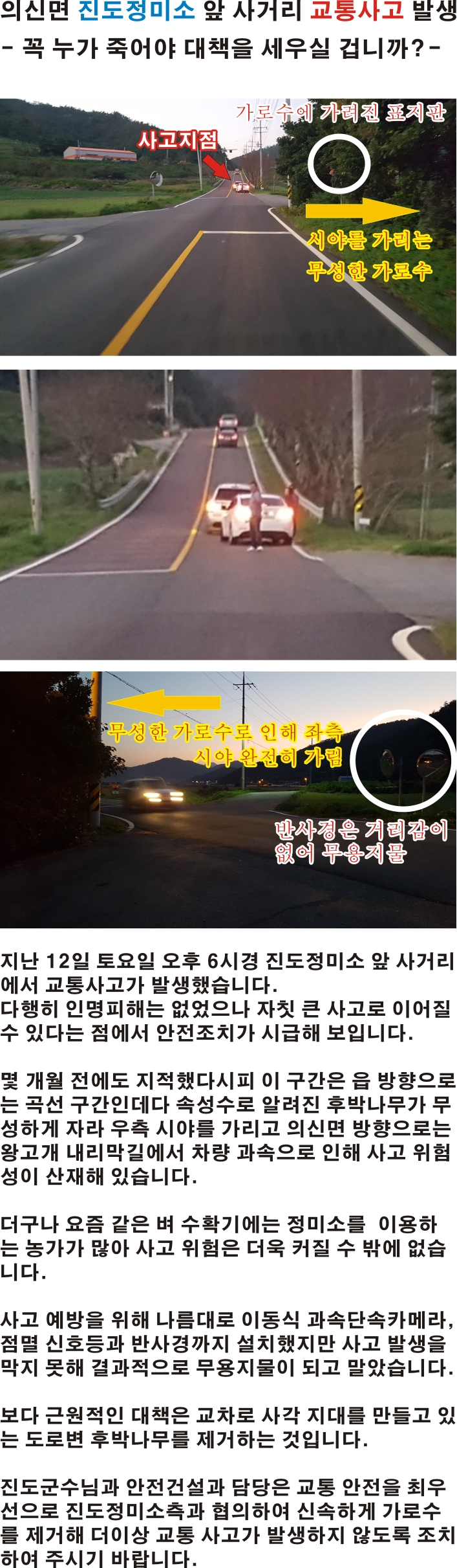 의신면 진도정미소 앞 사거리 교통사고 위험 가로수 제거 바랍니다. 첨부#1