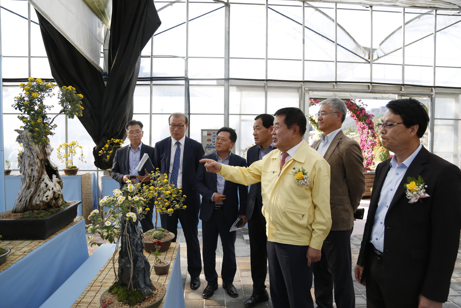 진도사랑 국화작품 13일까지…진도아리랑식물원에서 이미지