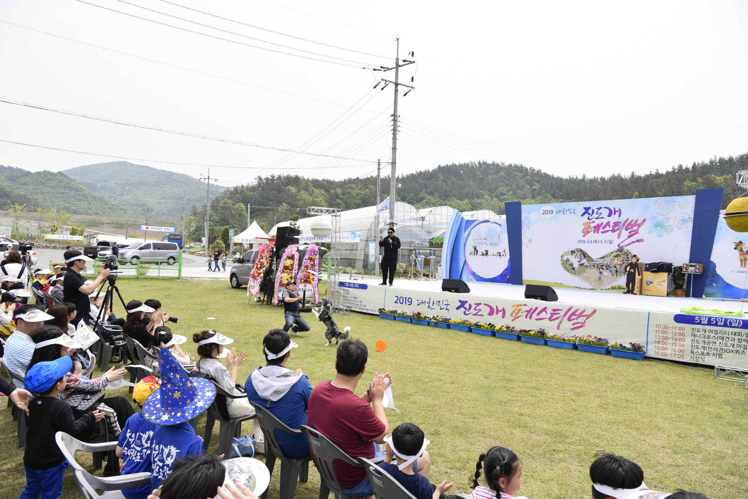 2019 진도개페스티벌 이미지