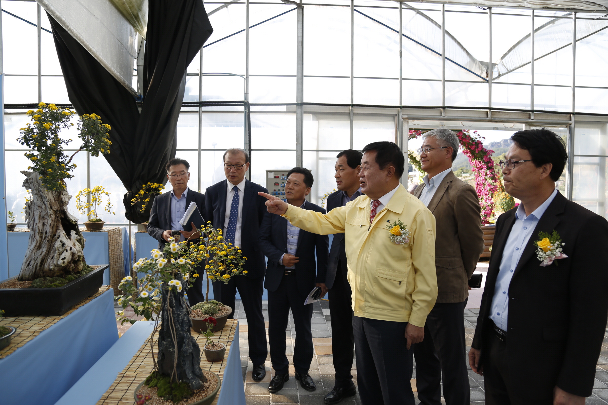 국화분재작품 전시회 개장식 첨부#5