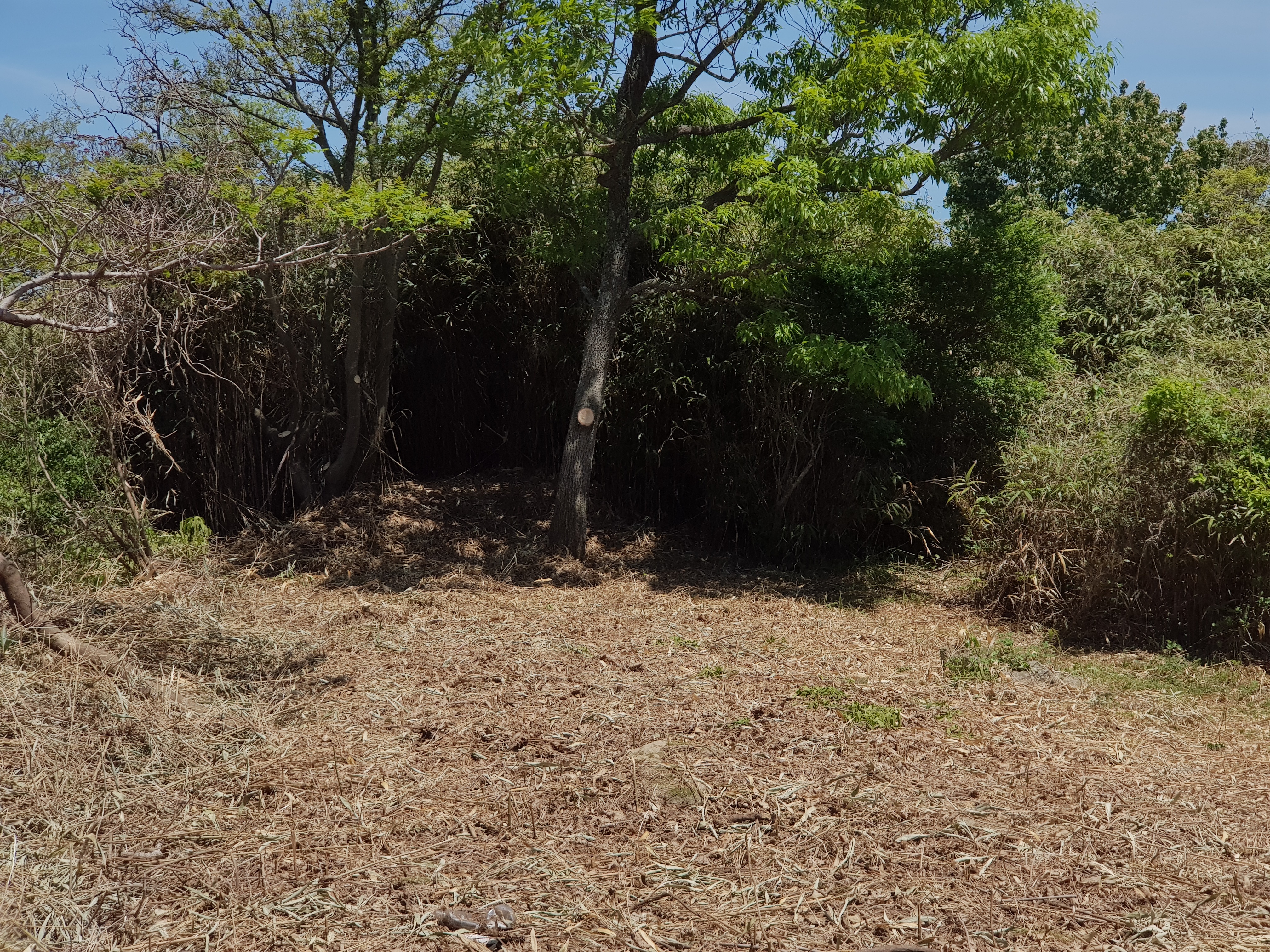 전 관광과 차재남과장님을 칭찬합니다. 첨부#4