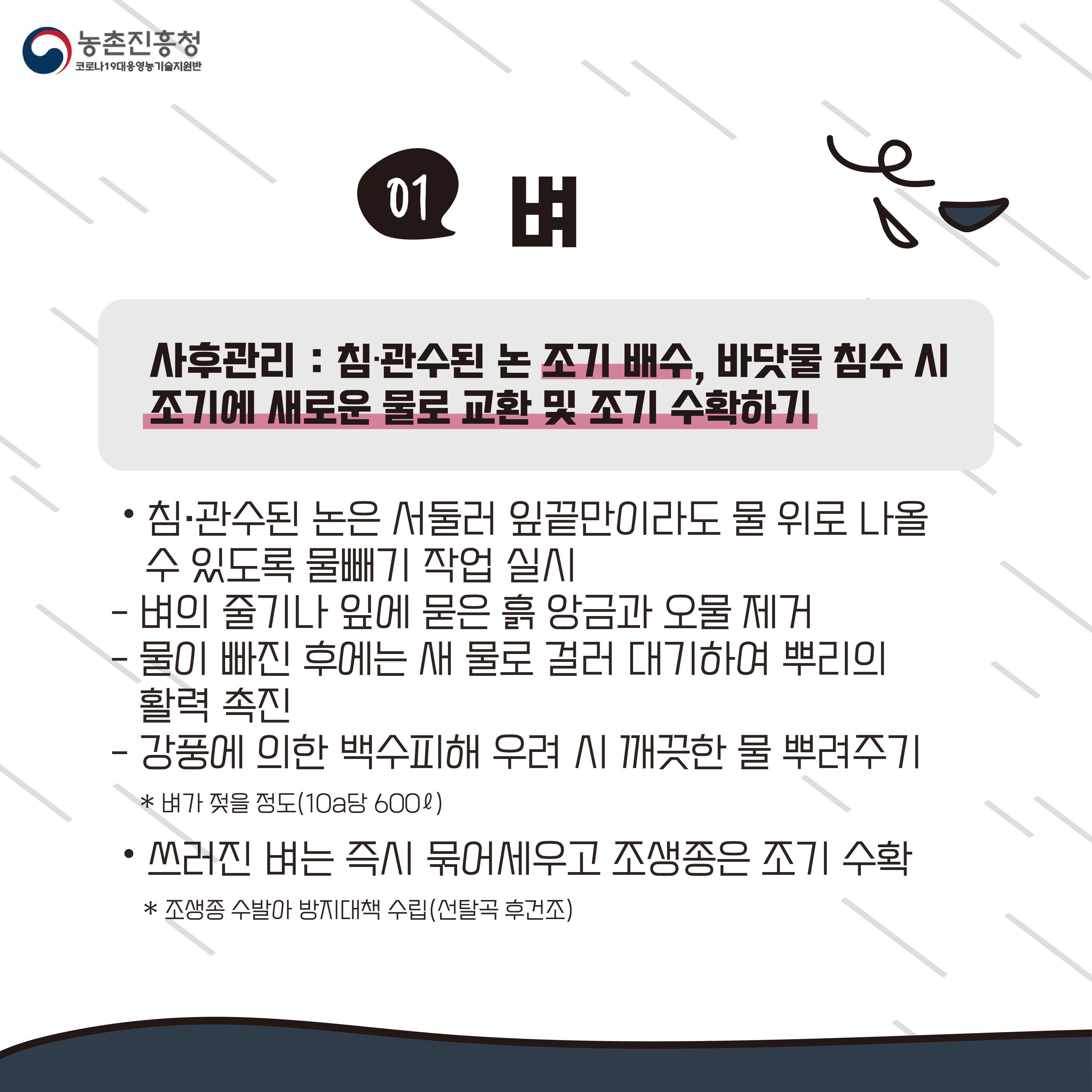 태풍 농작물 사후관리편(카드뉴스) 첨부#2