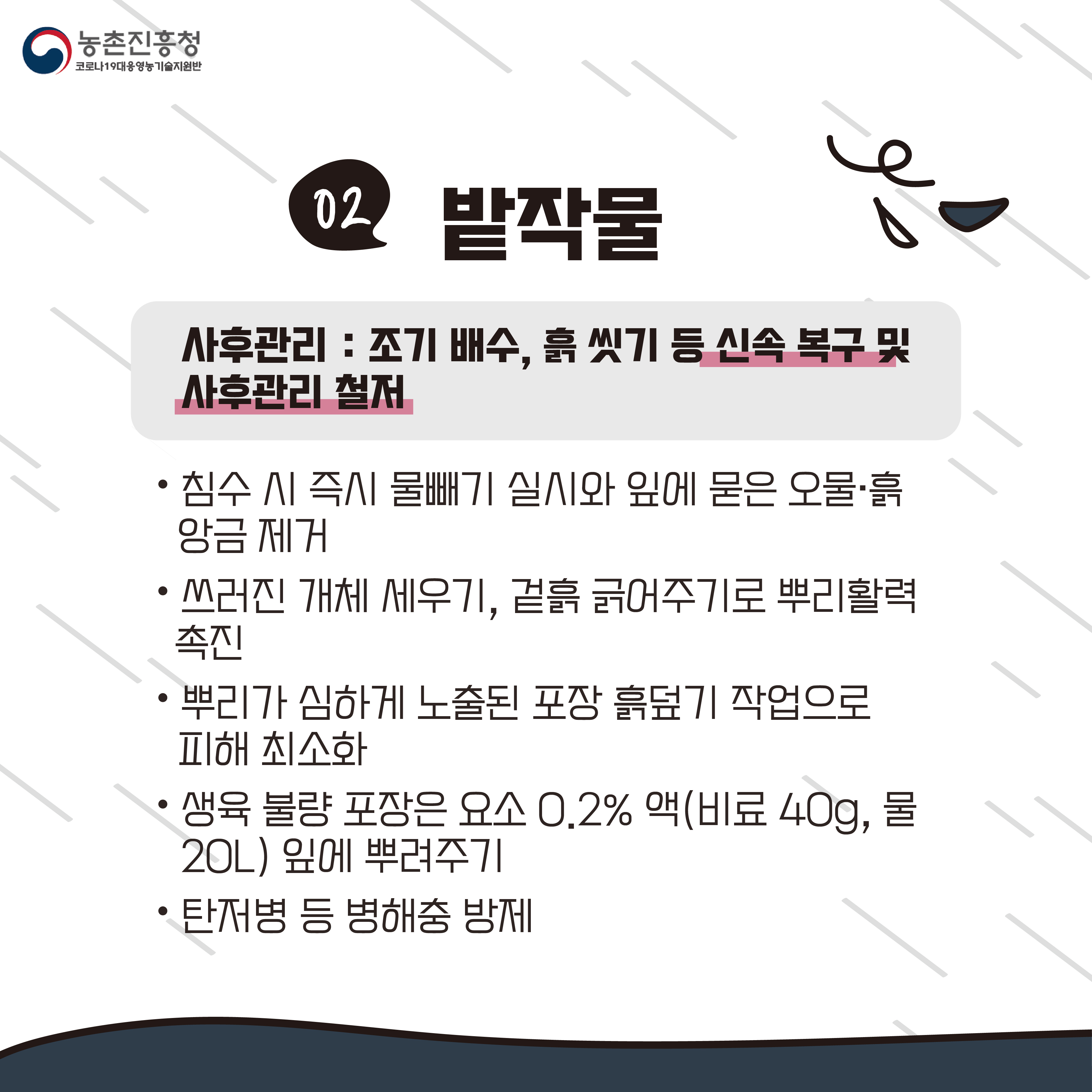 태풍 농작물 사후관리편(카드뉴스) 첨부#3