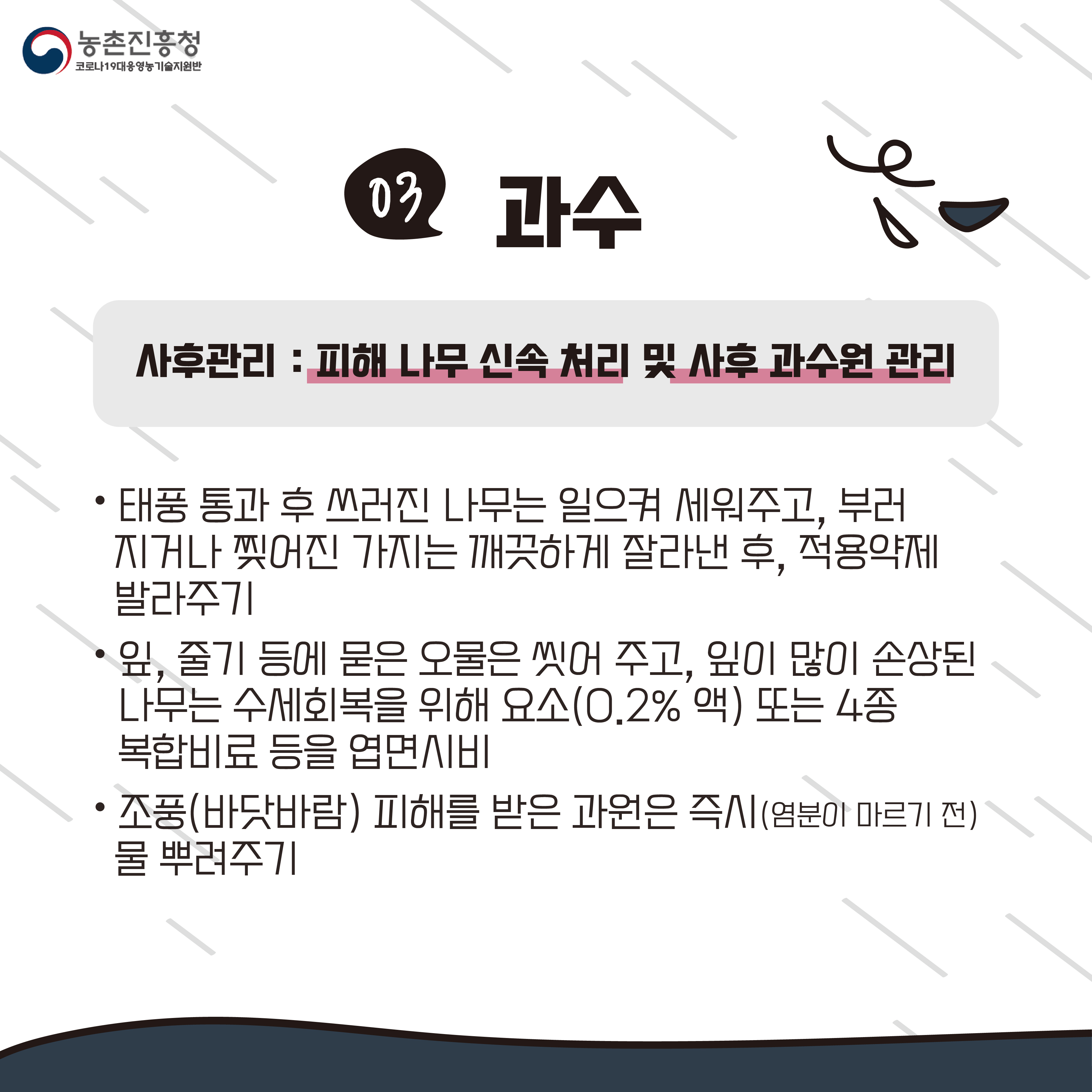 태풍 농작물 사후관리편(카드뉴스) 첨부#4