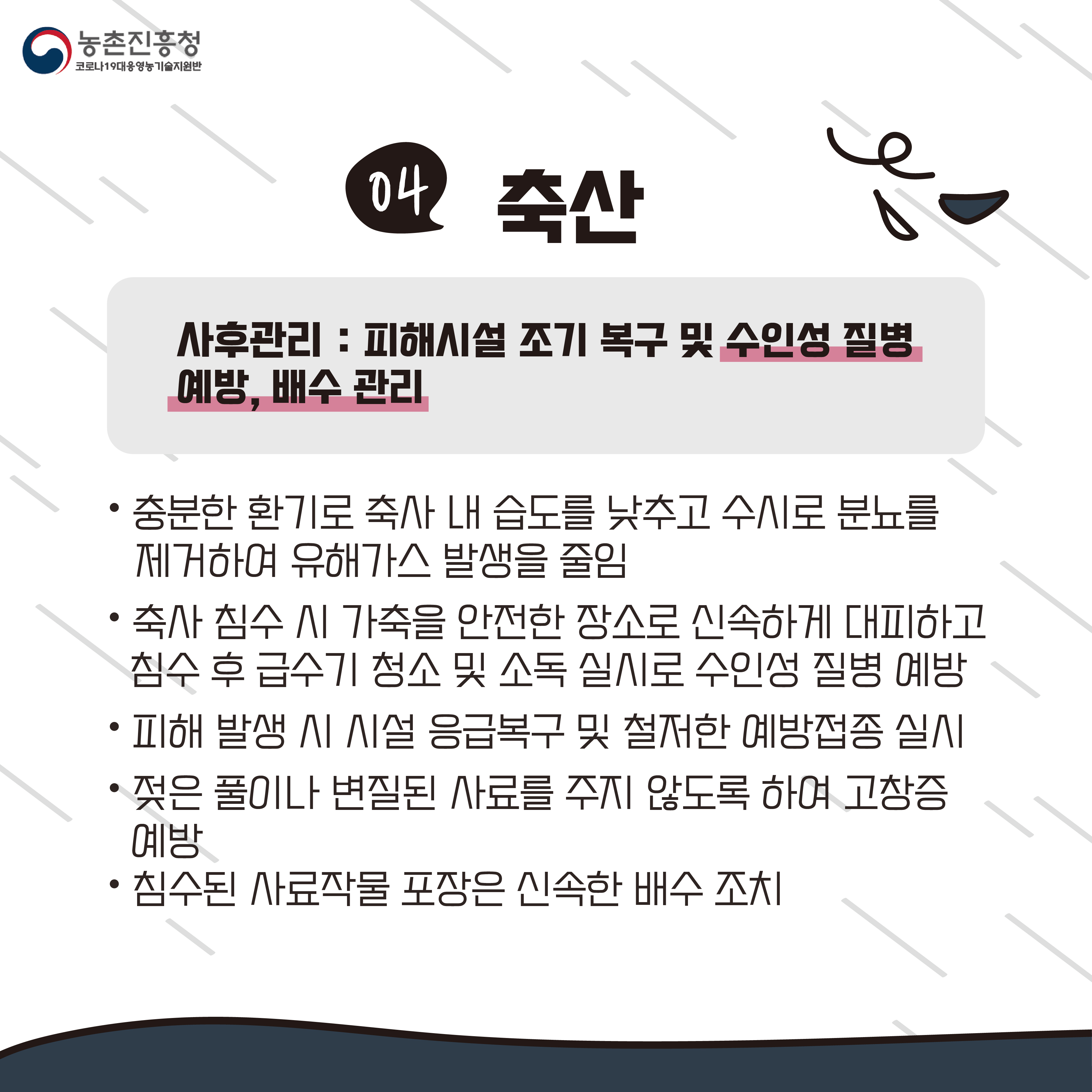 태풍 농작물 사후관리편(카드뉴스) 첨부#5