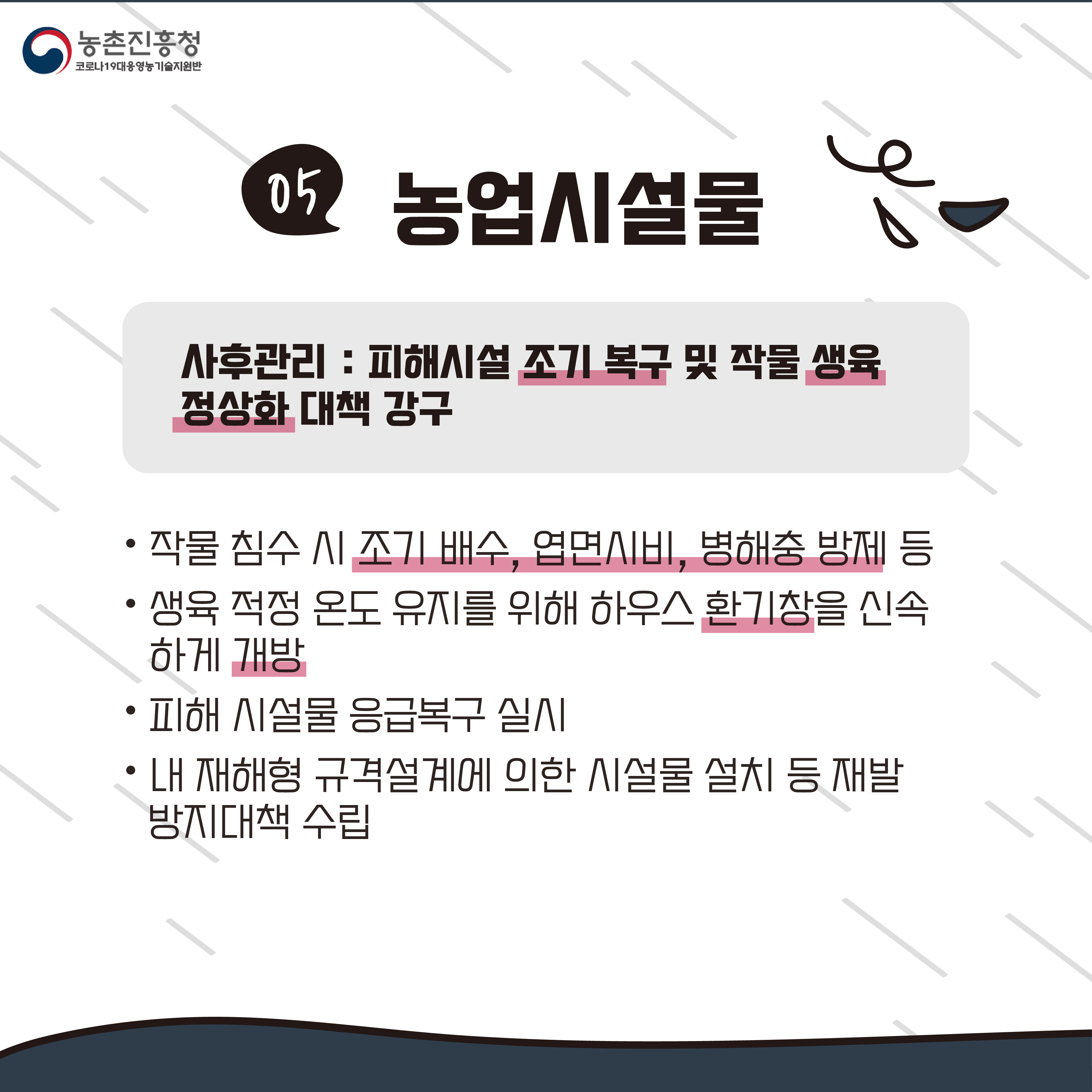 태풍 농작물 사후관리편(카드뉴스) 첨부#6