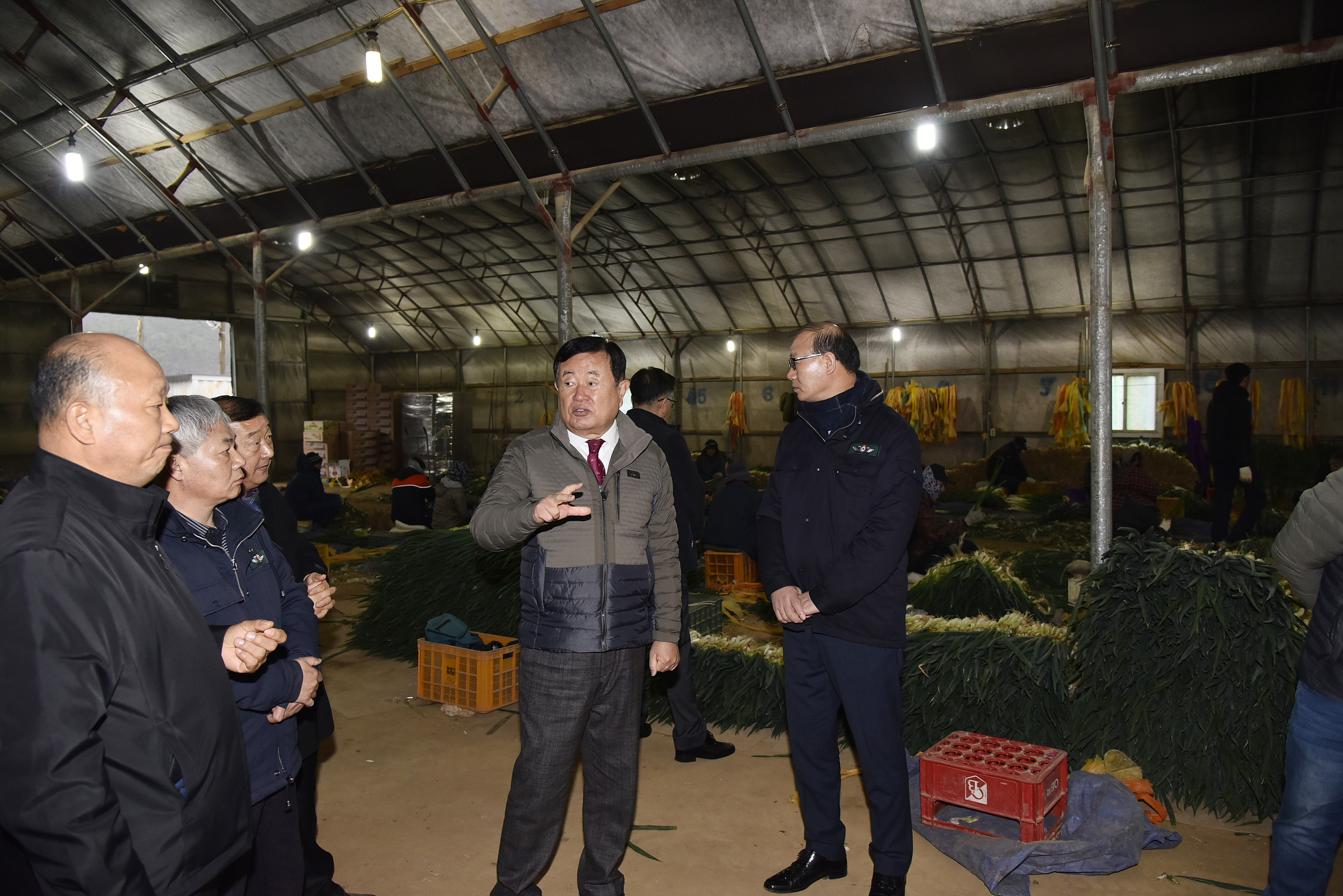 겨울대파작업현장 방문 및 재배농가 간담회 이미지