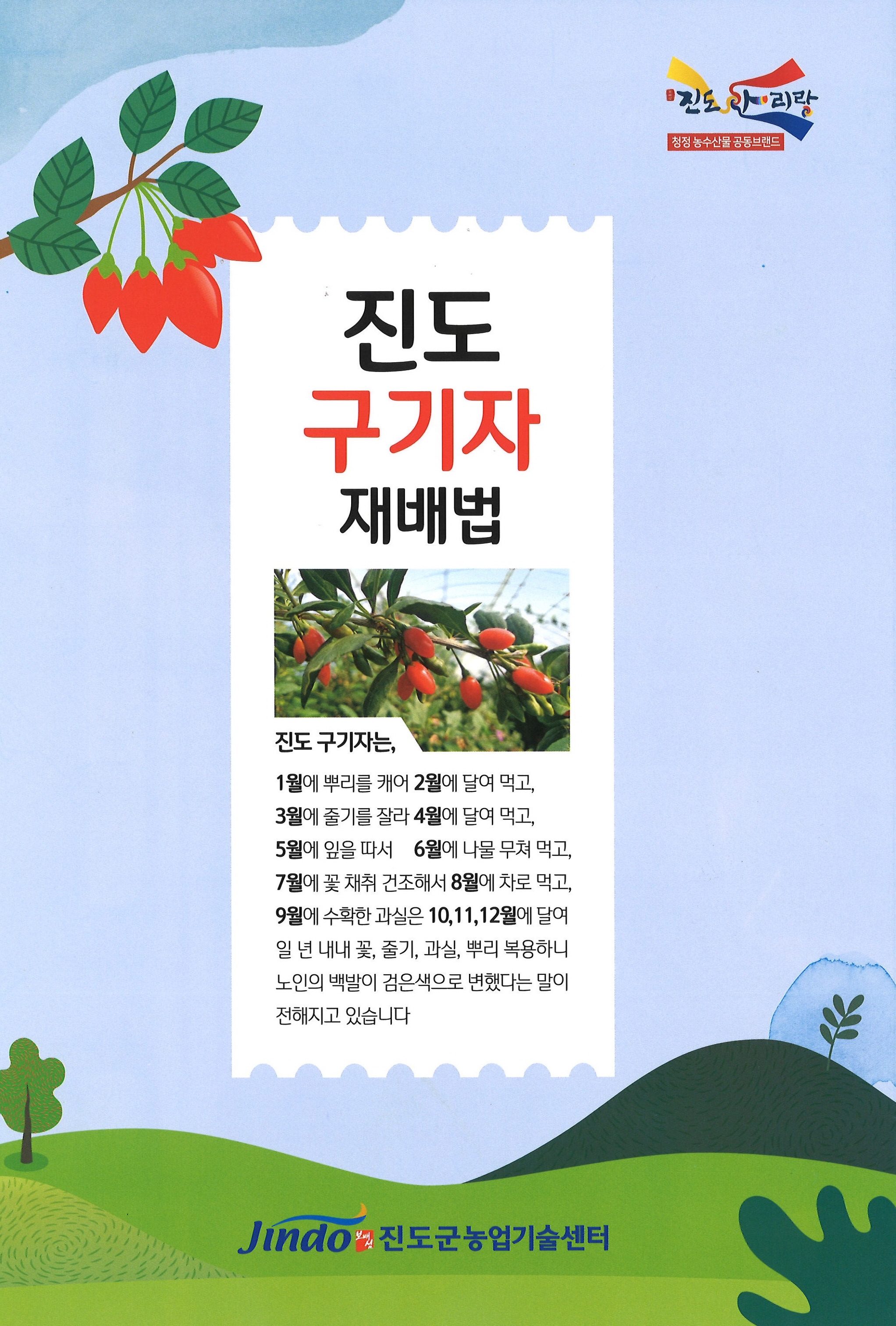 구기자 재배법 첨부#1