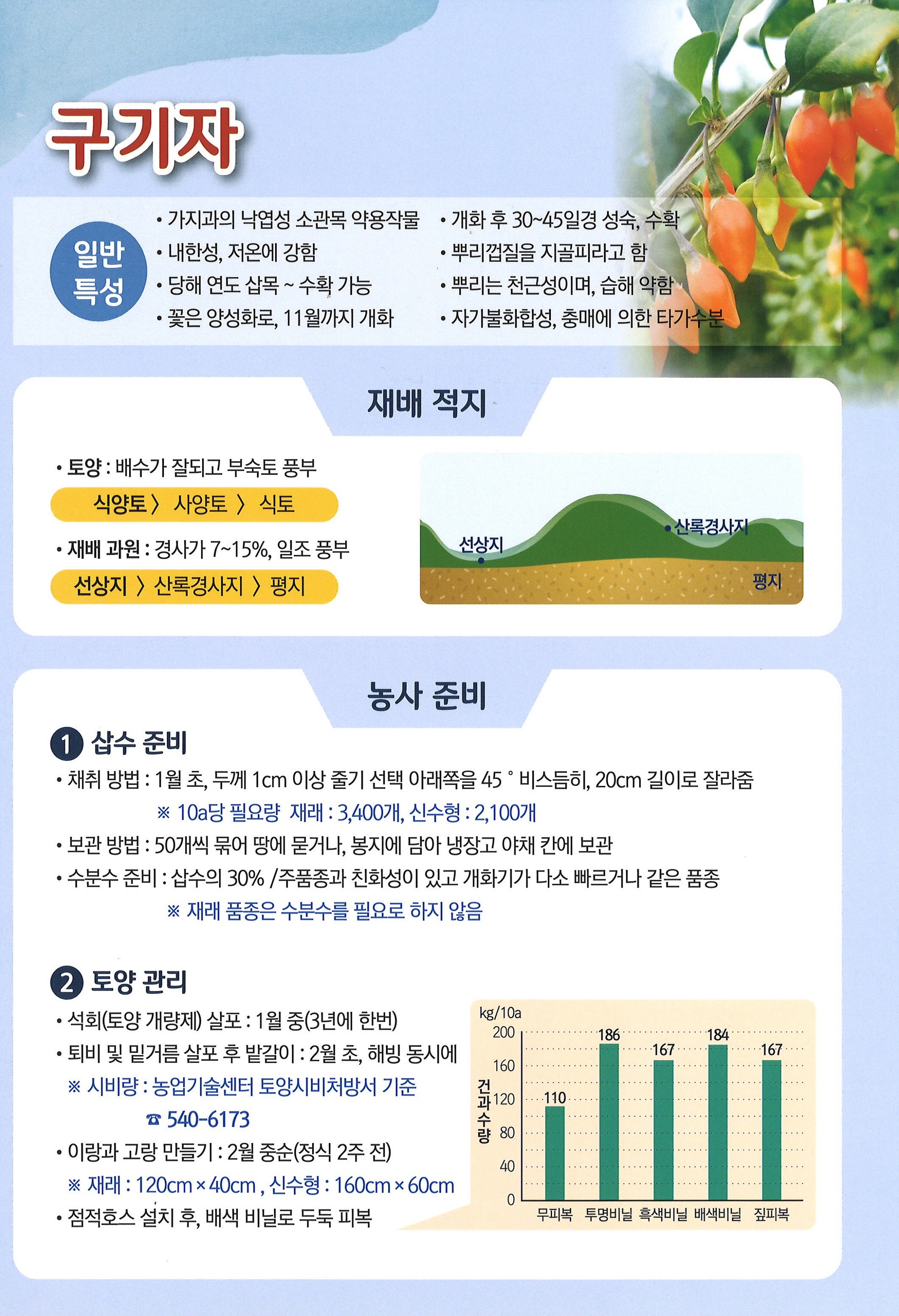 구기자 재배법 첨부#2
