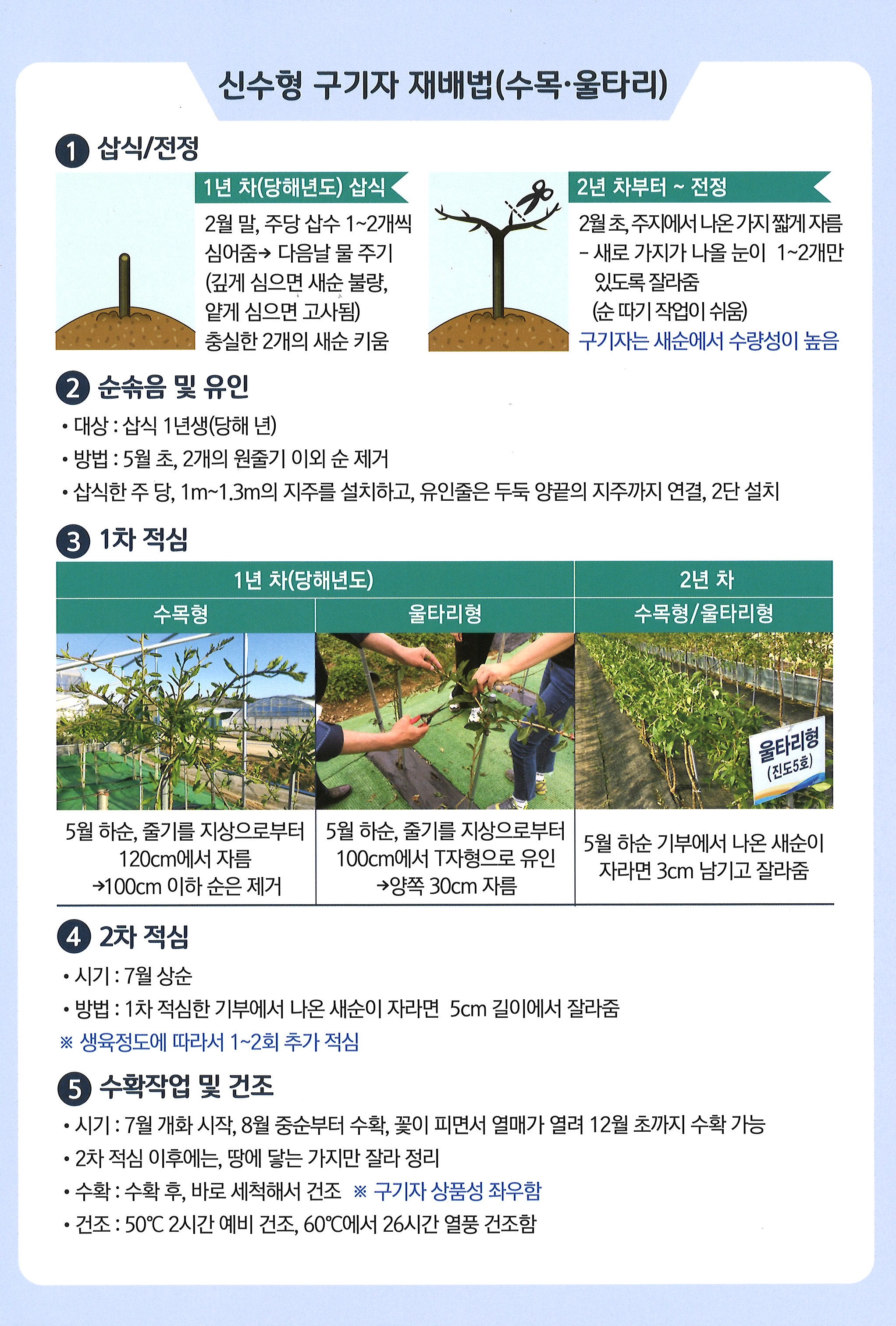 구기자 재배법 첨부#4