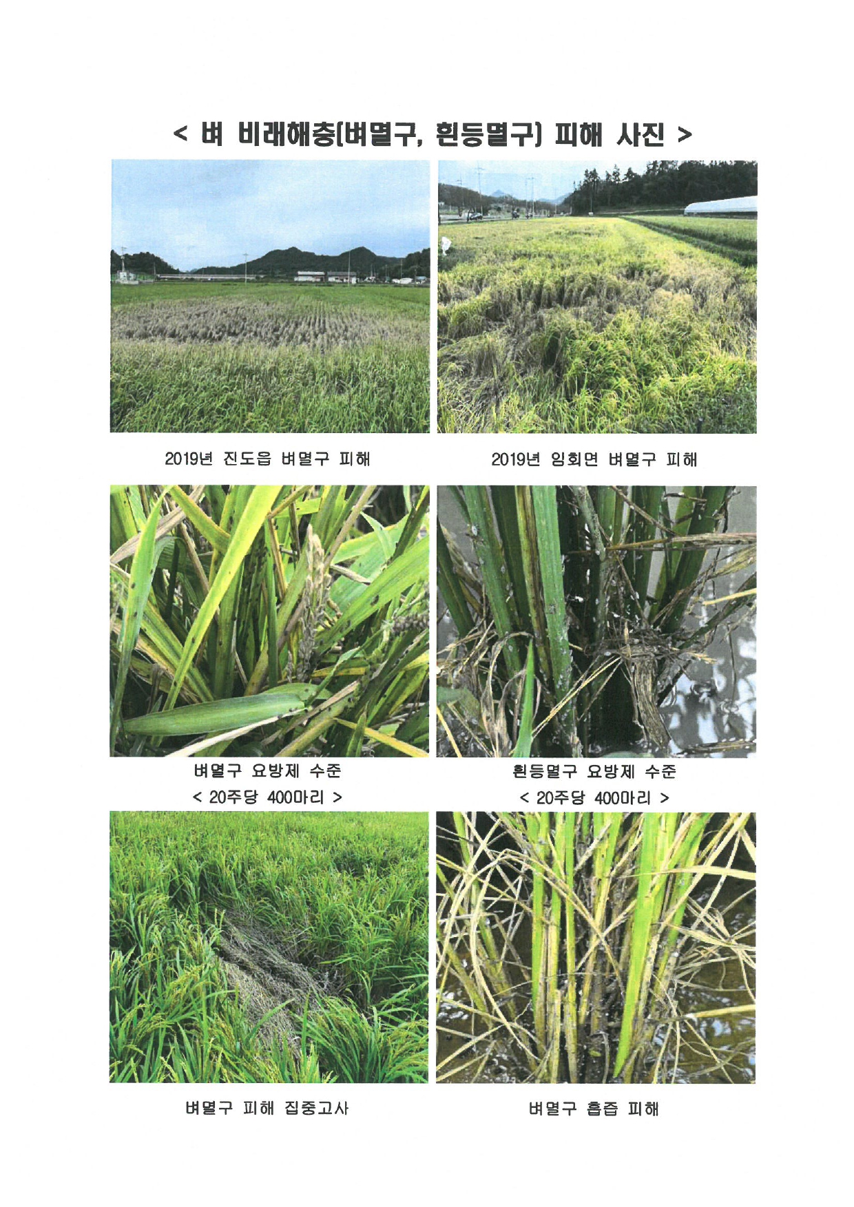 벼멸구 방제요령 첨부#2