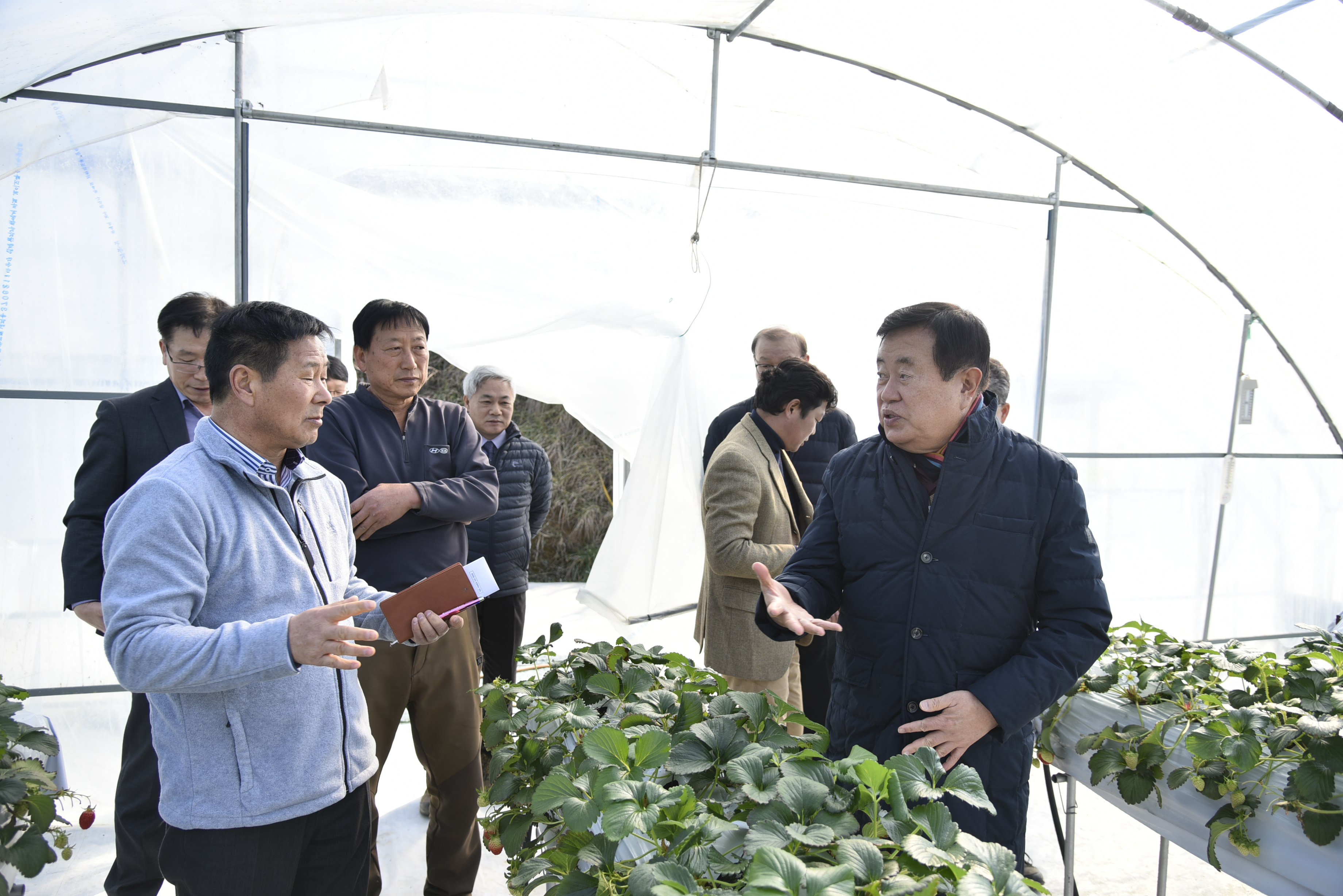 시설원예(딸기) 양액재배 시범농가 방문 이미지