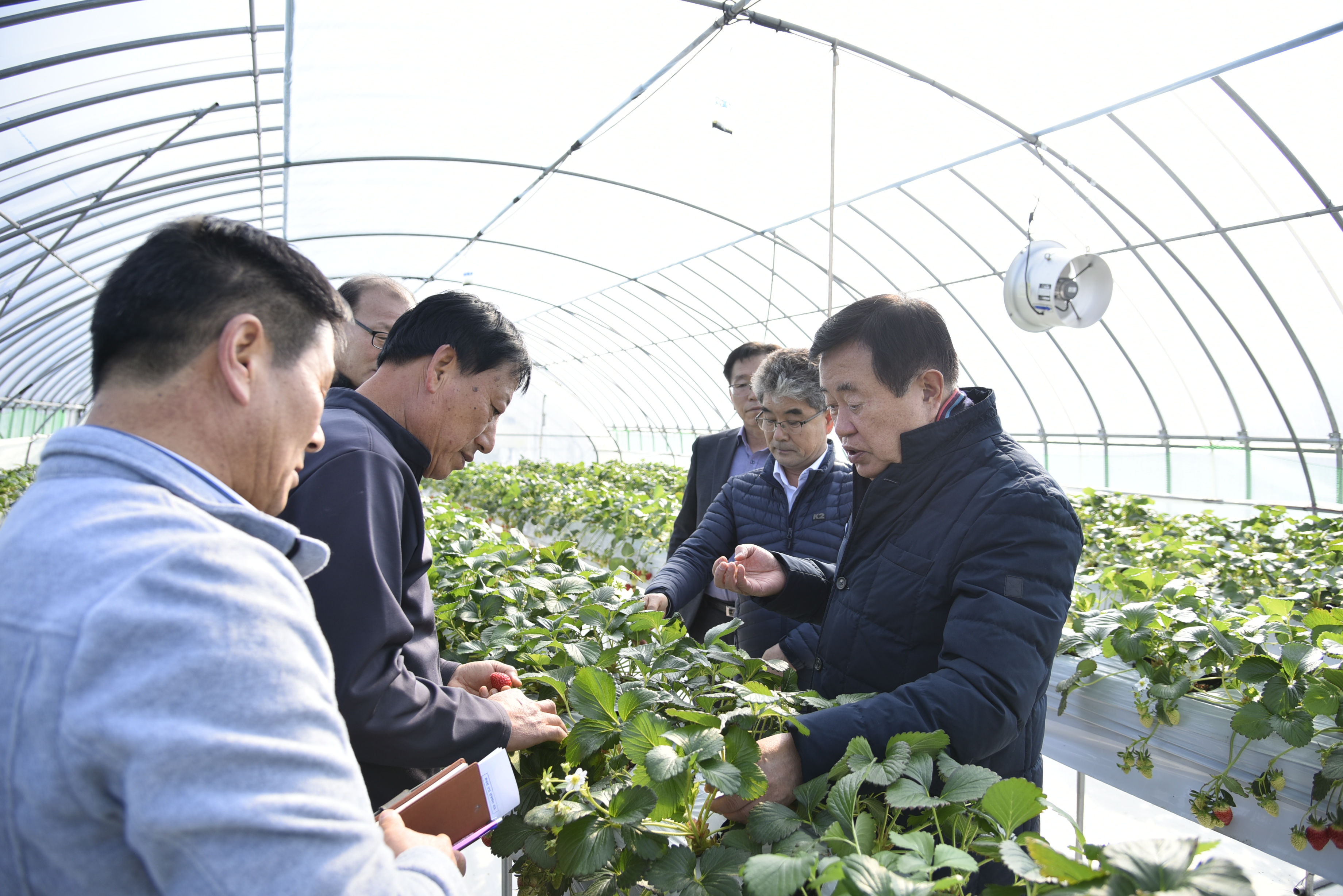 시설원예(딸기) 양액재배 시범농가 방문 첨부#2