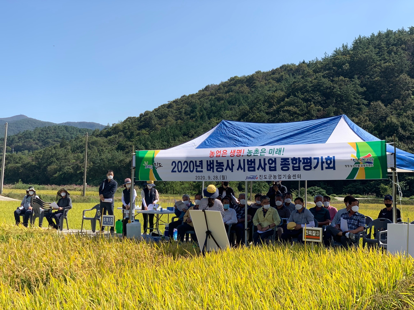 2020년도 벼농사 평가회 현장 사진 첨부#1