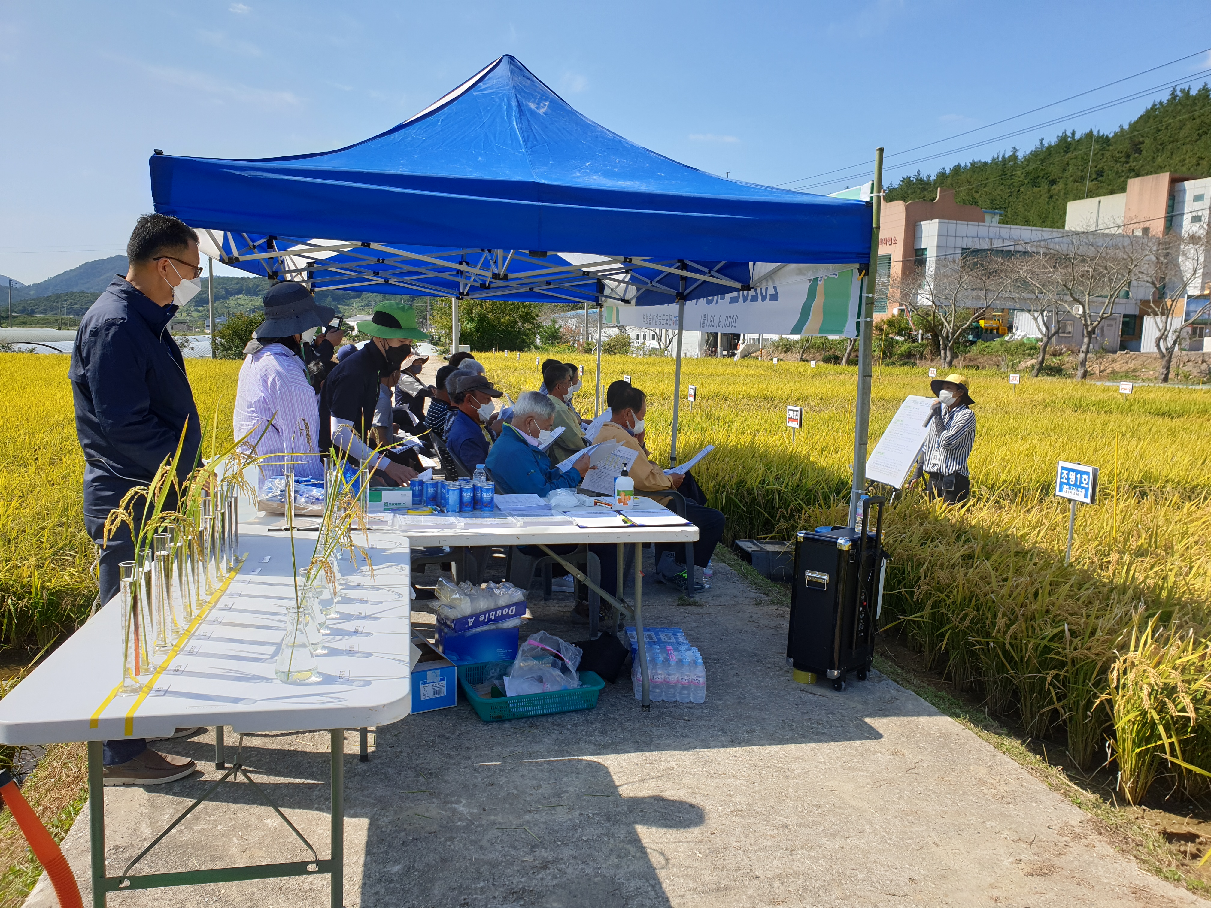 2020년도 벼농사 평가회 현장 사진 첨부#2