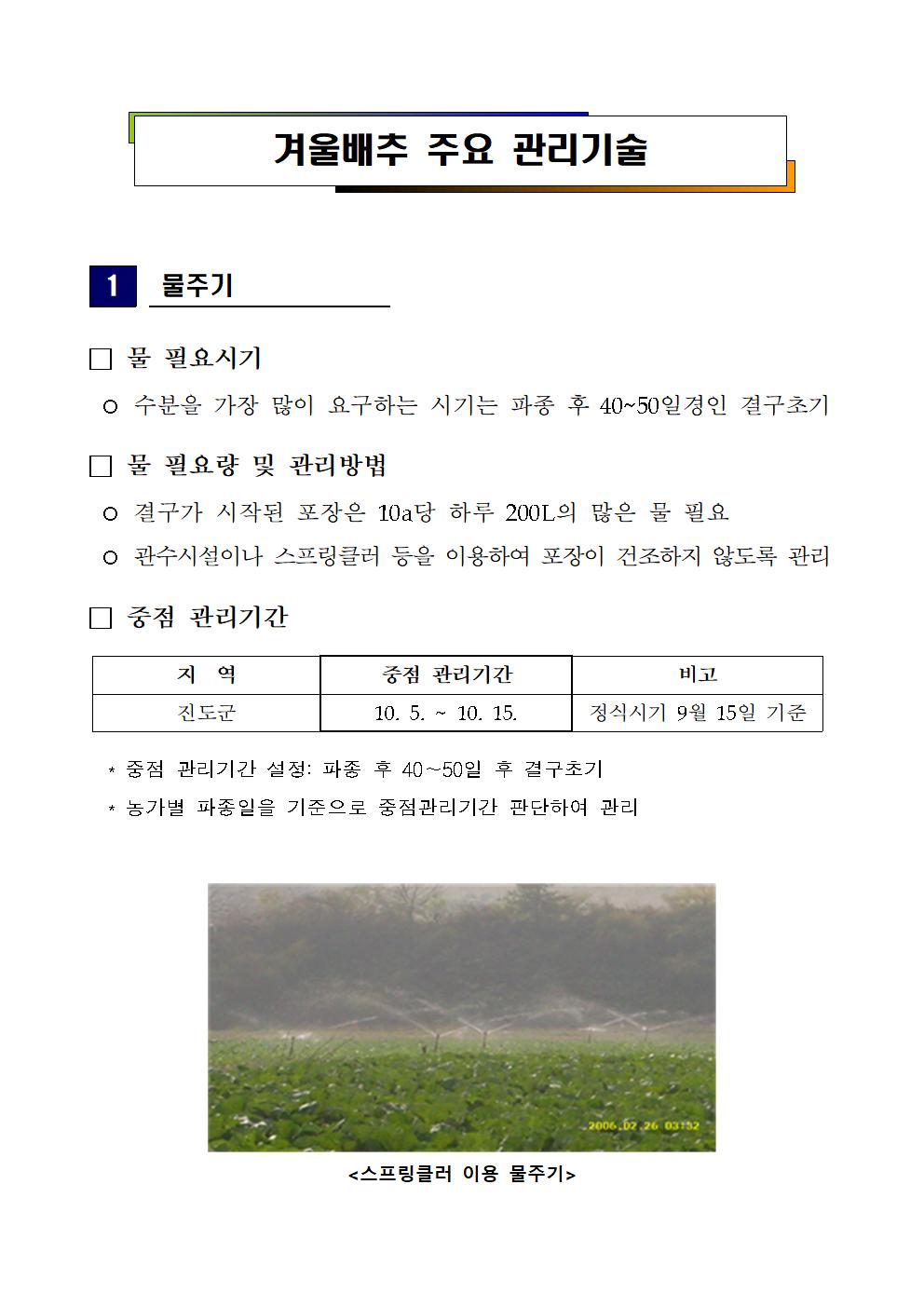 겨울배추 주요 관리기술 첨부#1