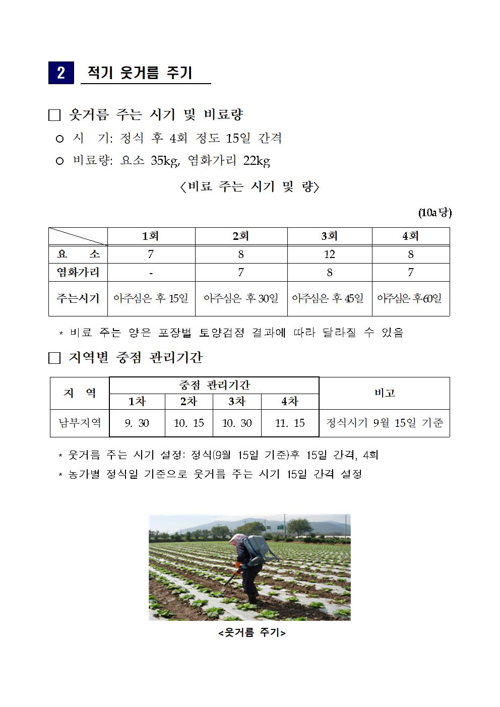 겨울배추 주요 관리기술 첨부#2