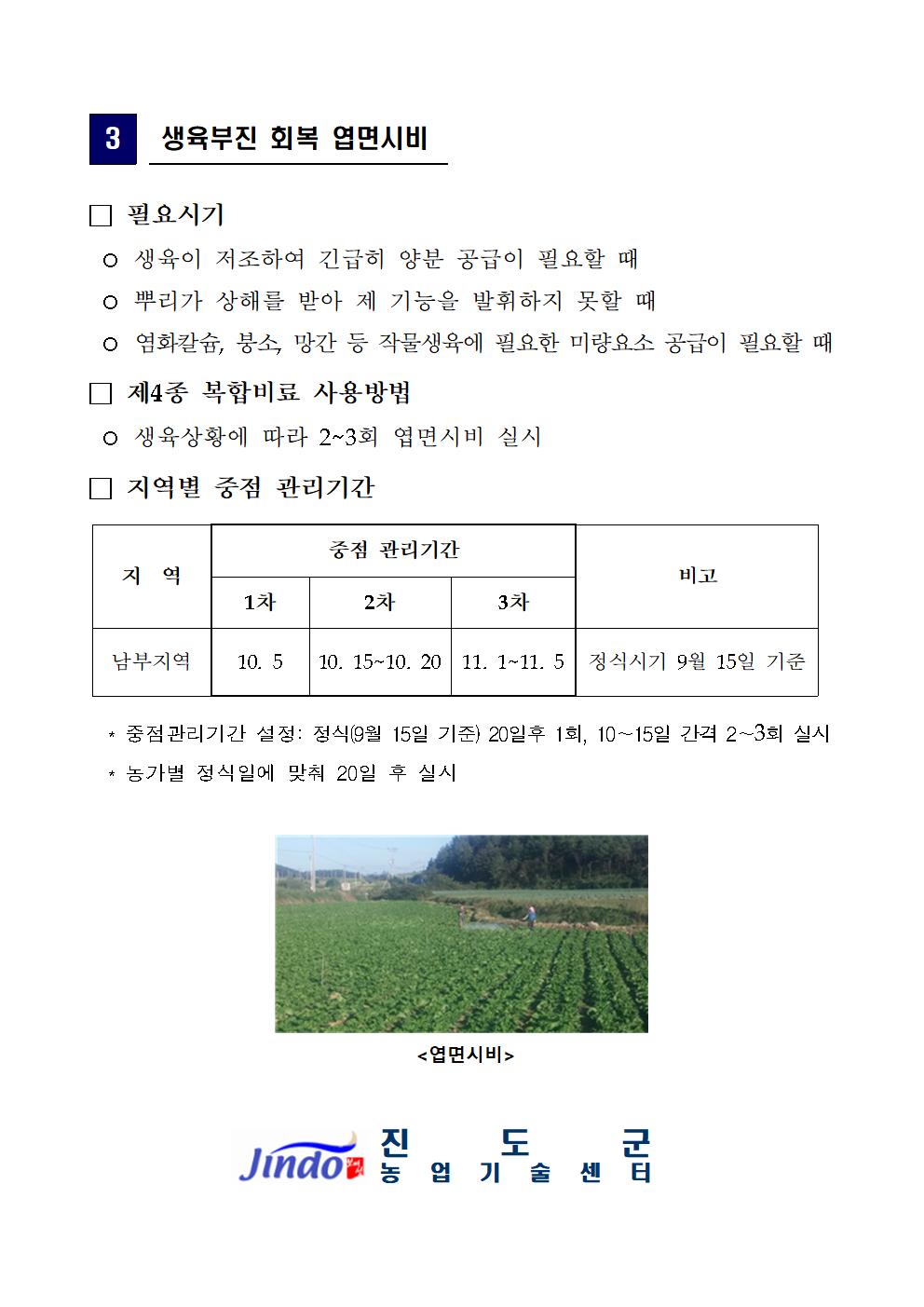 겨울배추 주요 관리기술 첨부#3