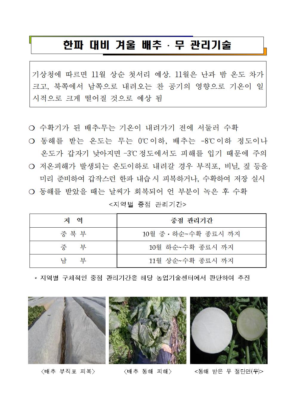 한파 대비 겨울 배추& 겨울 무 관리기술 첨부#1