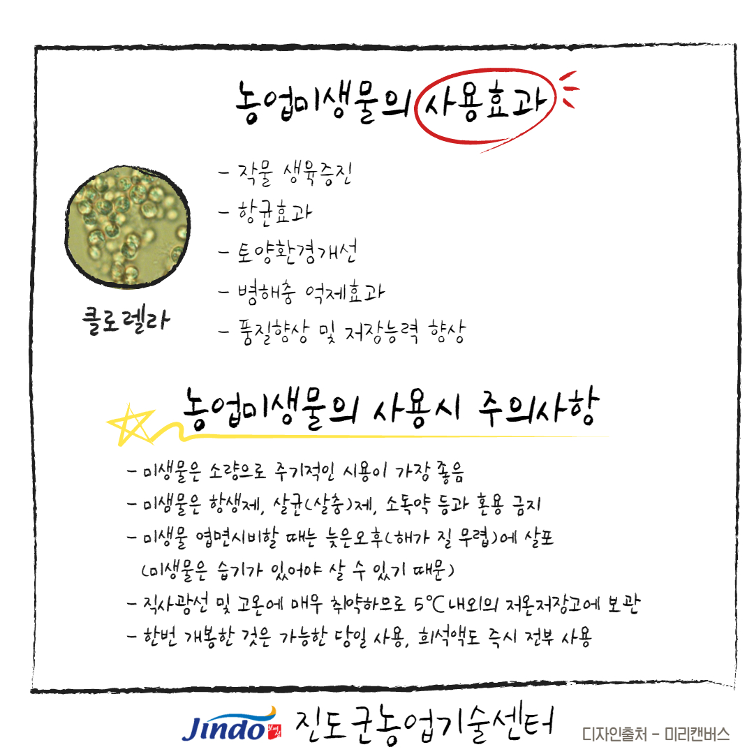 2021년 유용미생물 확대 보급 및 사용효과 안내 첨부#6